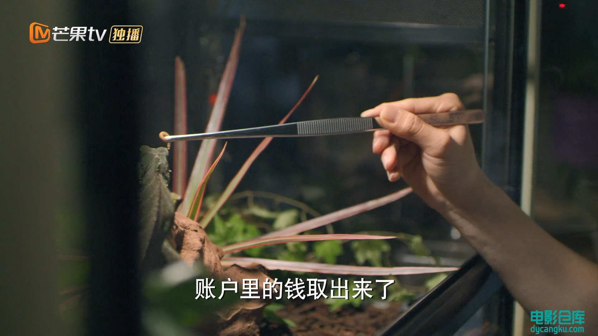 [电影仓库dycangku.com]01.1080p.HD国语中字无水印.mp4_snapshot_26.17.330.jpg