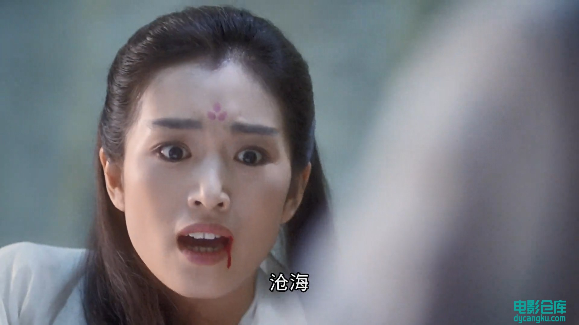 新天龙八部之天山童姥.1080p.国粤双语.BD中字[电影仓库dycangku.com].mp4_snapshot_01.jpg