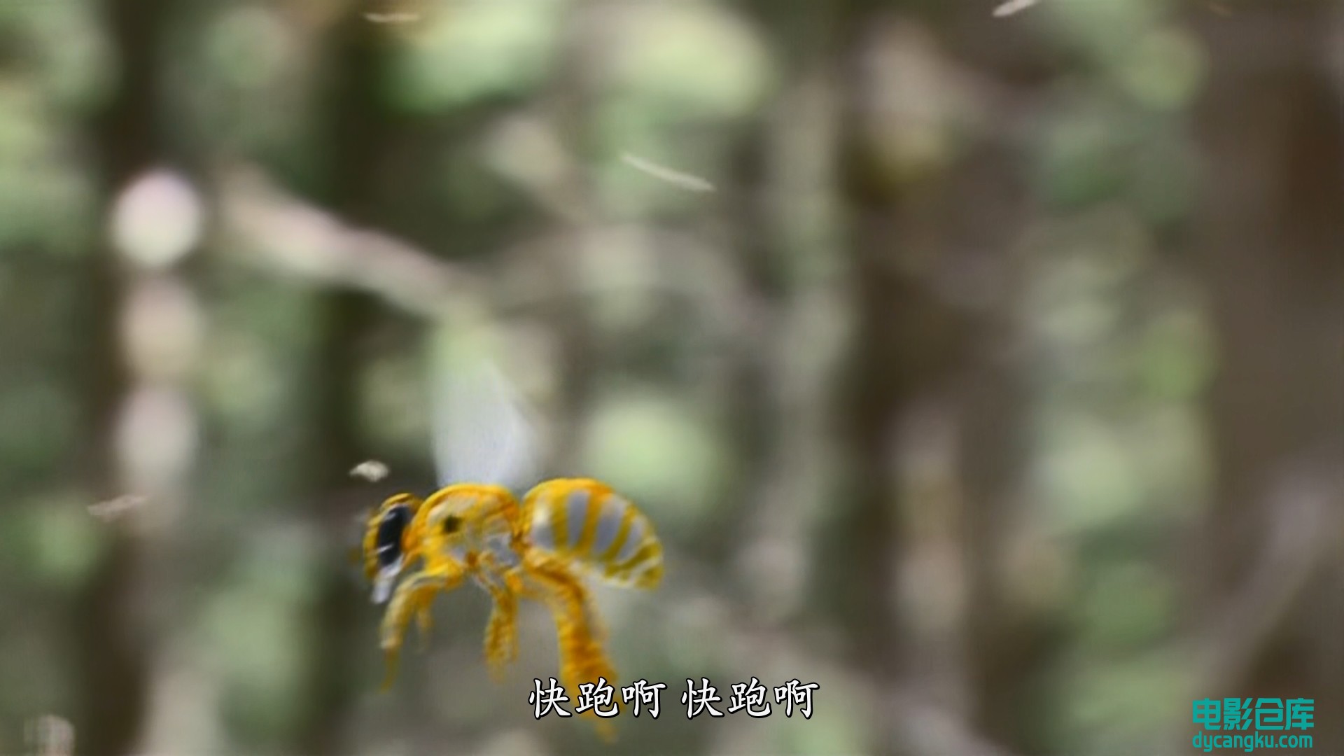 [电影仓库dycangku.com]神雕侠侣刘亦菲版01.mkv_snapshot_33.19.454.jpg