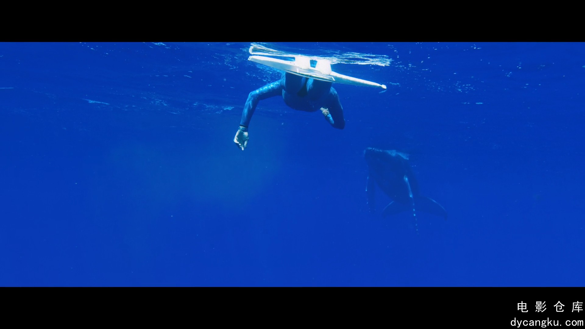 [电影仓库dycangku.com]Reset.2021.1080p.NF.WEB-DL.DDP5.1.H.264.mkv_snapshot_00.27.jpg
