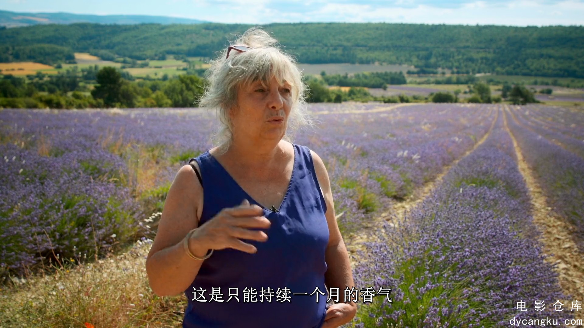 [电影仓库dycangku.com]鸟瞰欧洲.法国.Europe.from.Above.S02E01.France.1080p.DSNP.W.jpg