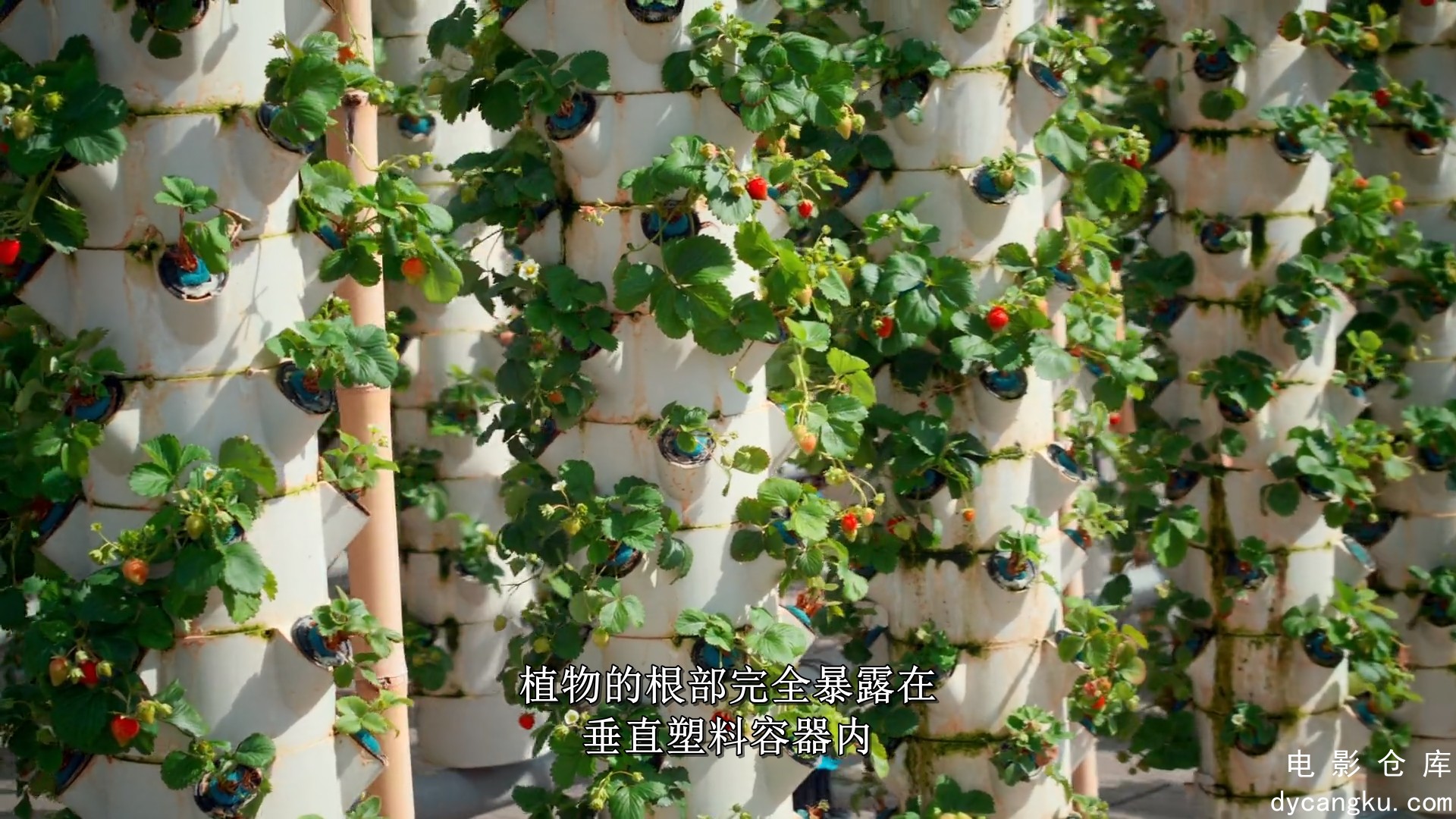 [电影仓库dycangku.com]鸟瞰欧洲.法国.Europe.from.Above.S02E01.France.1080p.DSNP.W.jpg