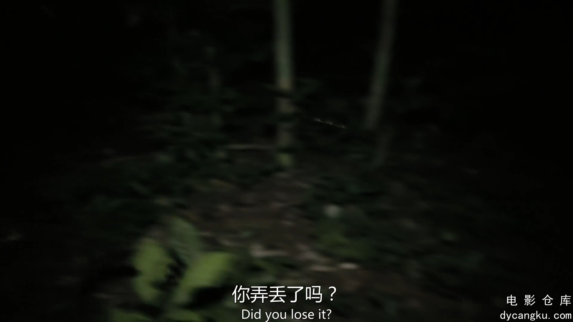 [电影仓库dycangku.com]野猫.1080p.BD中英双字.mp4_snapshot_00.20.07.433.jpg