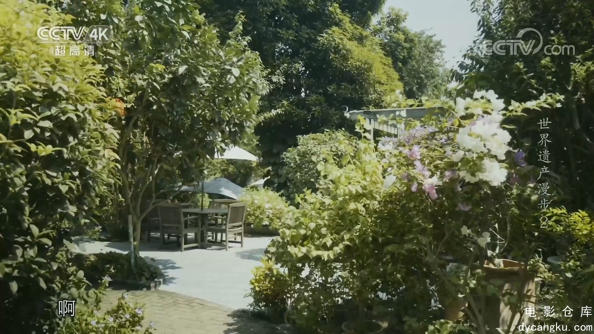 [电影仓库dycangku.com]世界遗产漫步第2集 鼓浪屿.mp4_snapshot_40.10.014.jpg