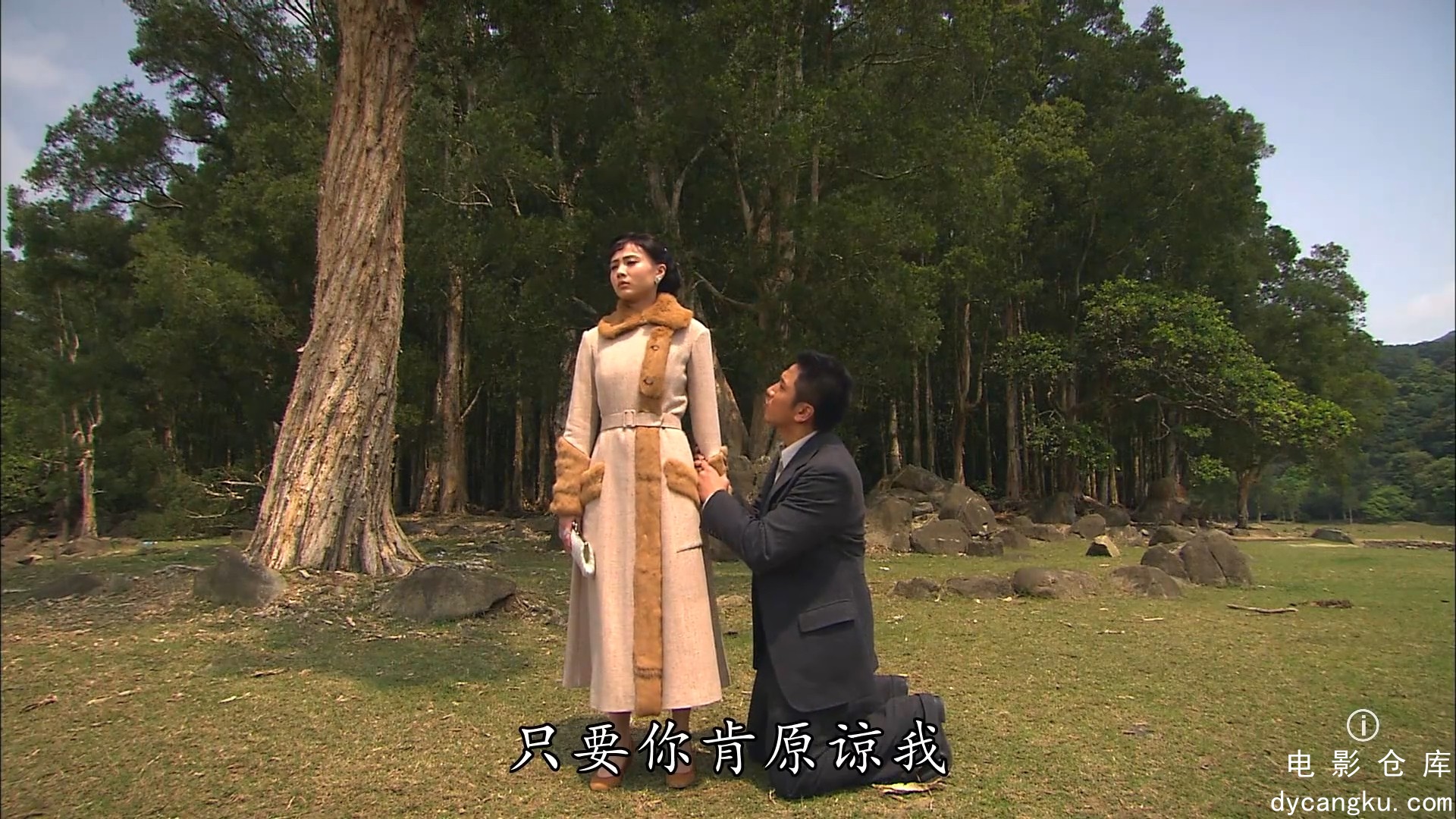 [电影仓库dycangku.com]名媛望族39.mp4_snapshot_34.01.866.jpg