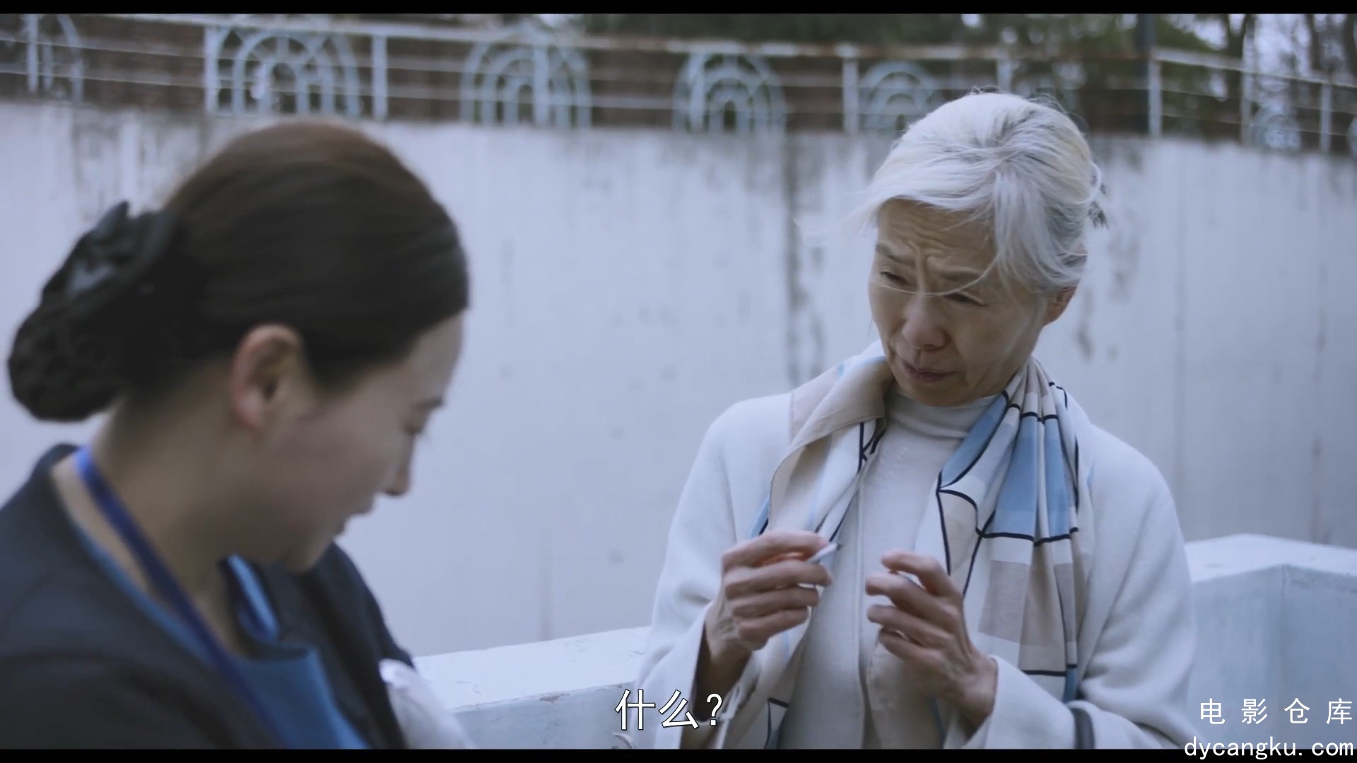 [电影仓库dycangku.com]老妇人.1080p.HD中字.mp4_snapshot_01.05.47.879.jpg