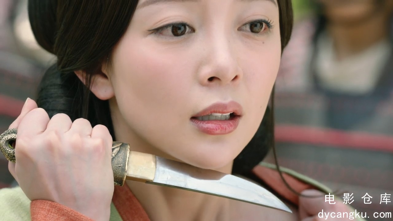 [电影仓库dycangku.com]Secret.of.the.Three.Kingdoms.E28.Web-DL.720p.mp4_snapshot_.jpg