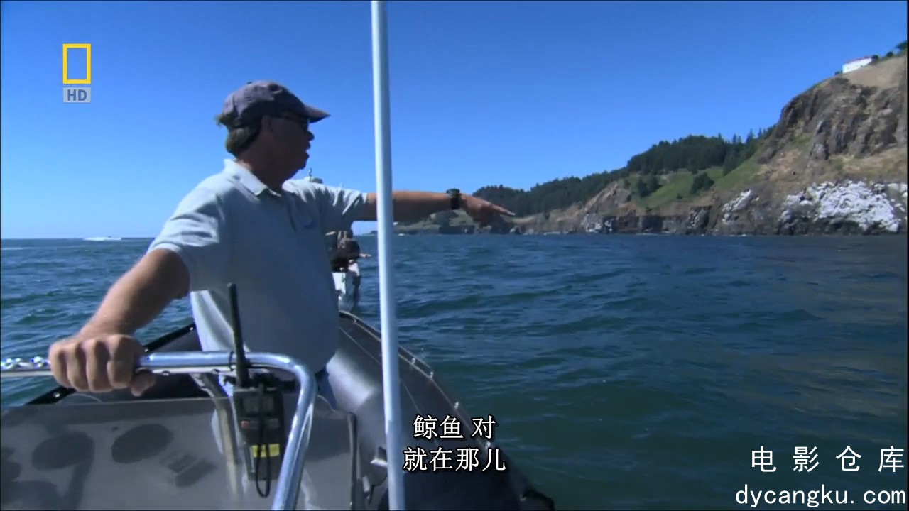 [电影仓库dycangku.com]【海洋探险㈠灰鲸迁徙之路】National.Geographic.Jean.Michel..jpg