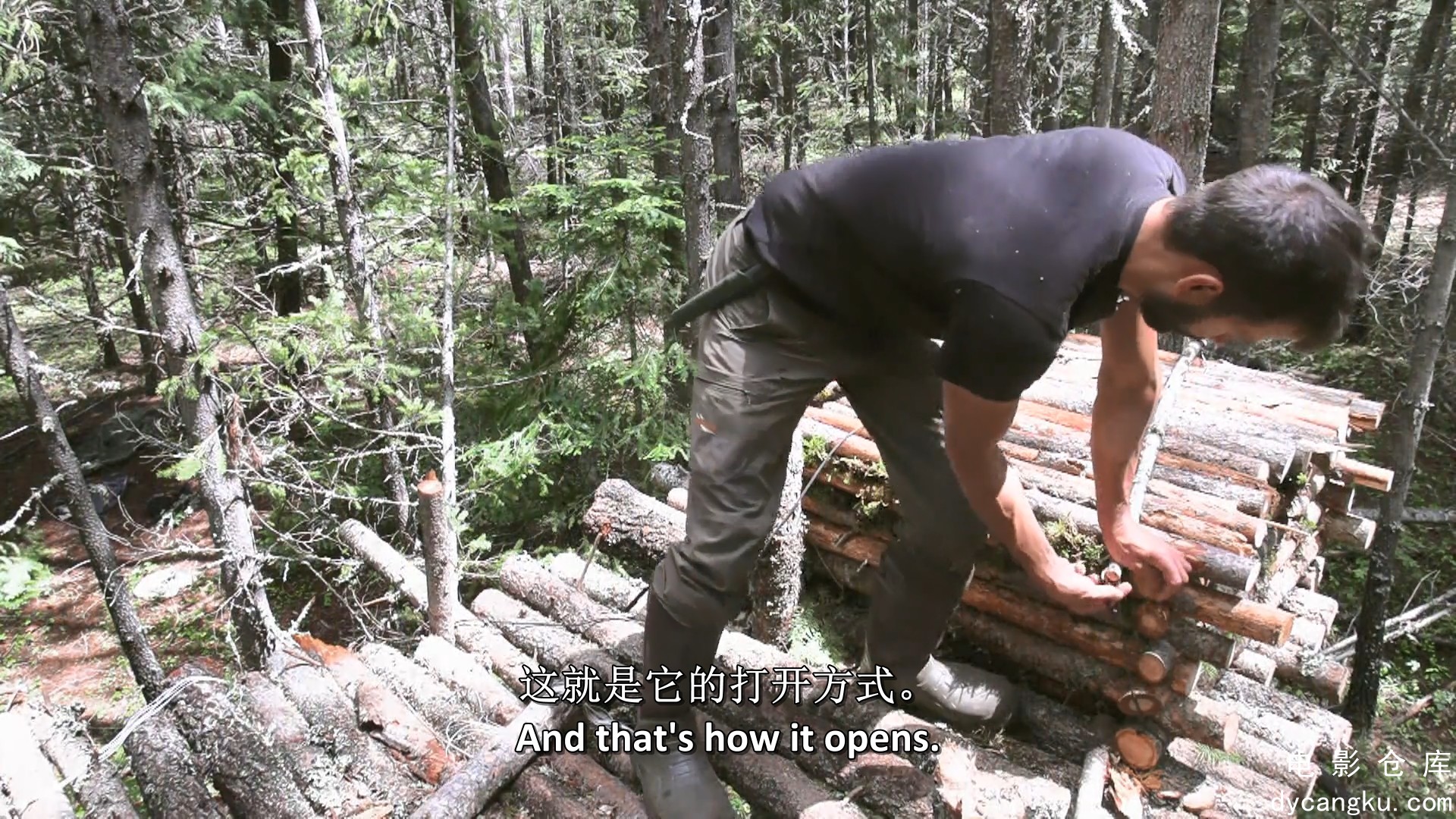 [电影仓库dycangku.com]荒野独居：技能挑战Alone.The.Skills.Challenge.S01E06.1080p..jpg