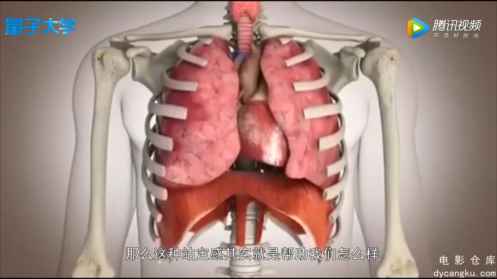 [电影仓库dycangku.com]气者，声之帅也.mp4_snapshot_09.27.357.jpg