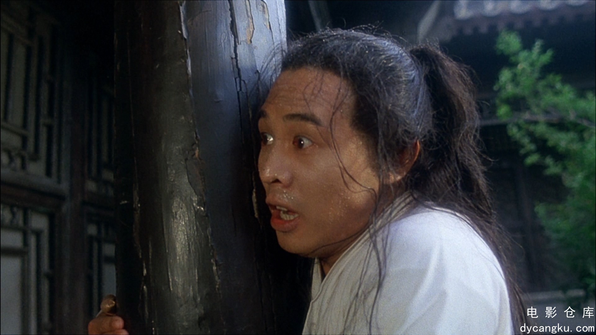 [电影仓库dycangku.com]The.Tai-Chi.Master.1993.BluRay.1080p.AVC.DD5.1.mkv_snapsho.jpg