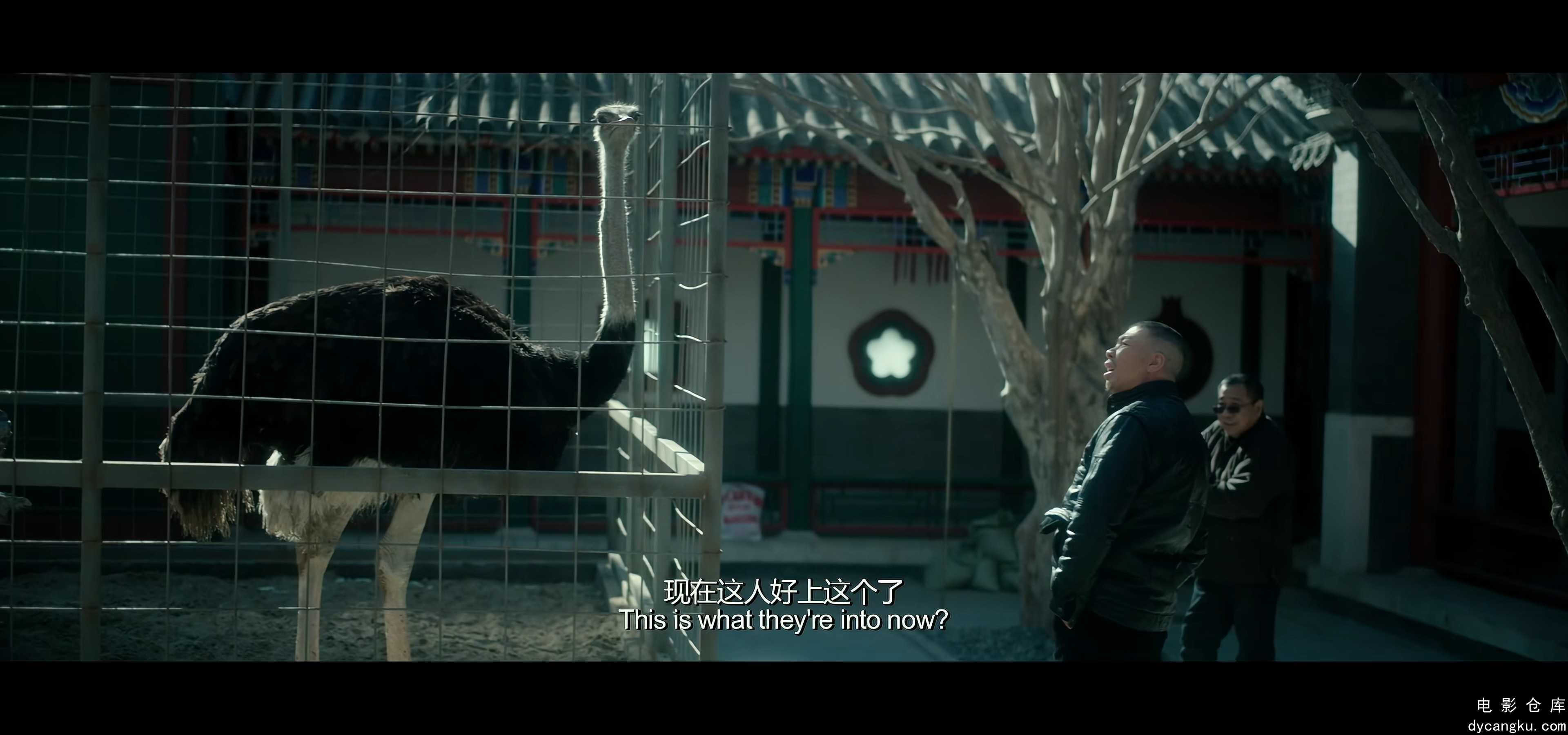 [电影仓库dycangku.com]老炮儿.国语中字.2015.4K.WEB-DL.H265.AAC.mp4_snapshot_00.13.jpg