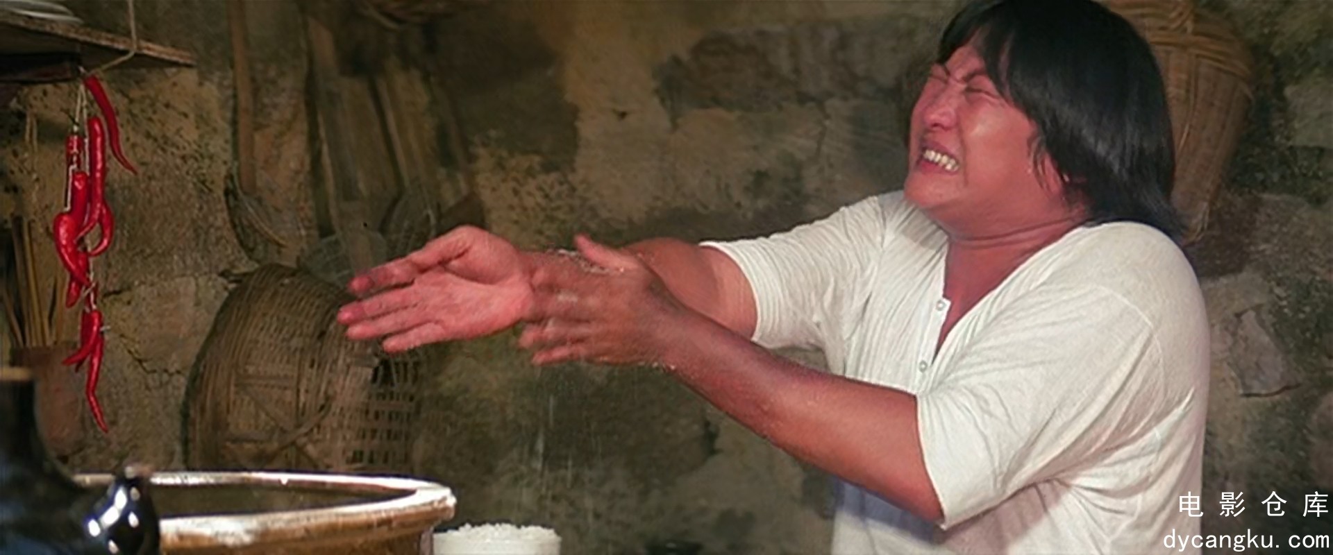 [电影仓库dycangku.com] 林世荣 (1979) 1080p AAC.mkv_snapshot_01.26.54.125.jpg