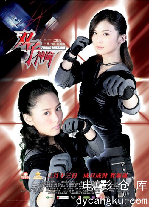 双子神偷2007.jpg