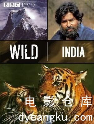 8野性印度.jpg