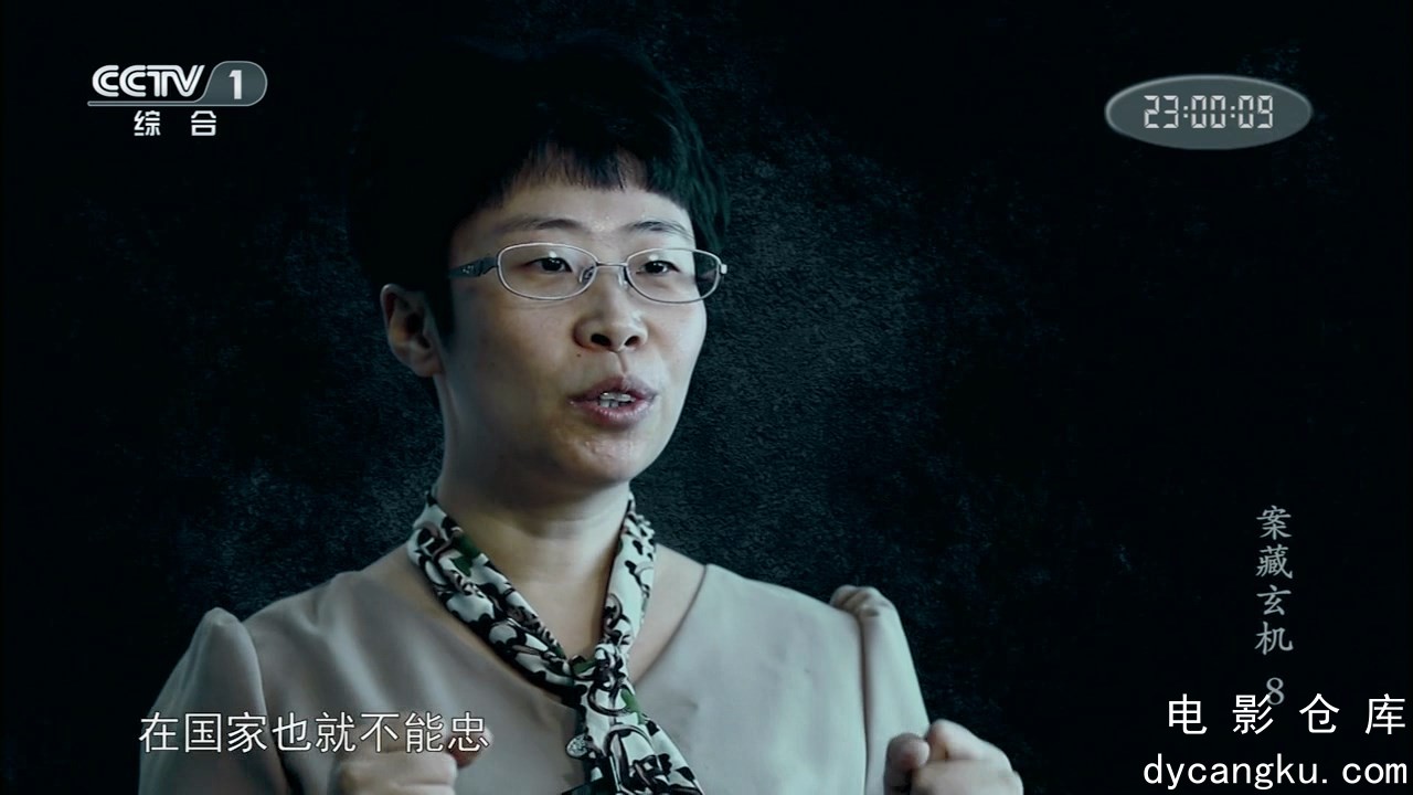 [电影仓库dycangku.com]CCTV1.案藏玄机.E08.mkv_snapshot_22.14.729.jpg