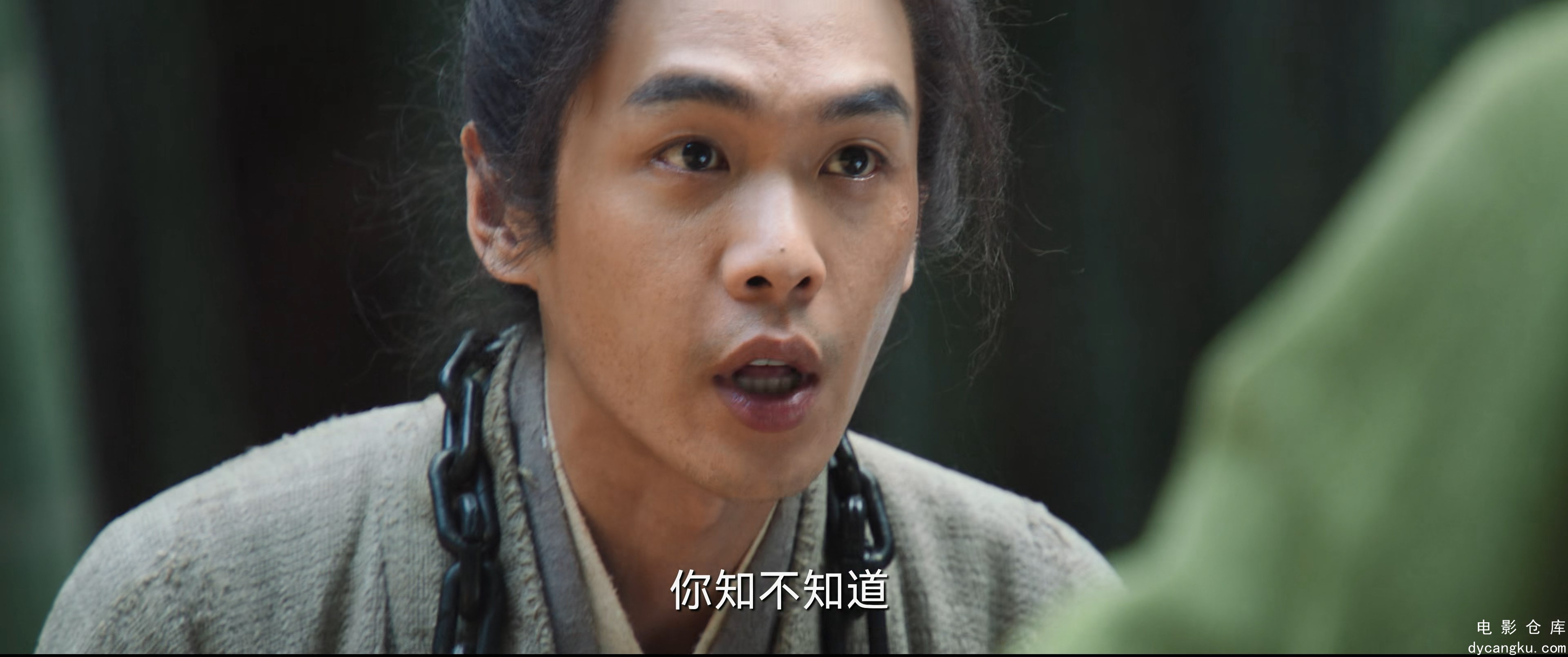 [电影仓库dycangku.com]显微镜下的大明之丝绢案.E08.2160p.H265.HD国语中字无水印.mkv.jpg
