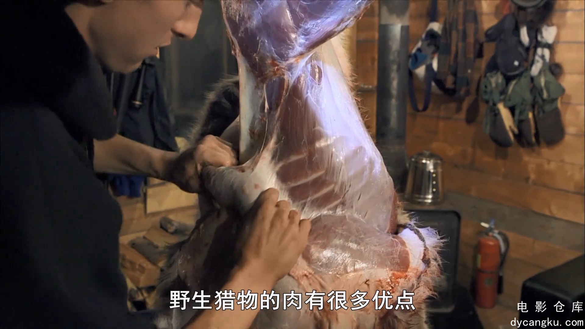 [电影仓库dycangku.com]零度以下的生活 第一季 第01集.mp4_snapshot_35.12.653.jpg