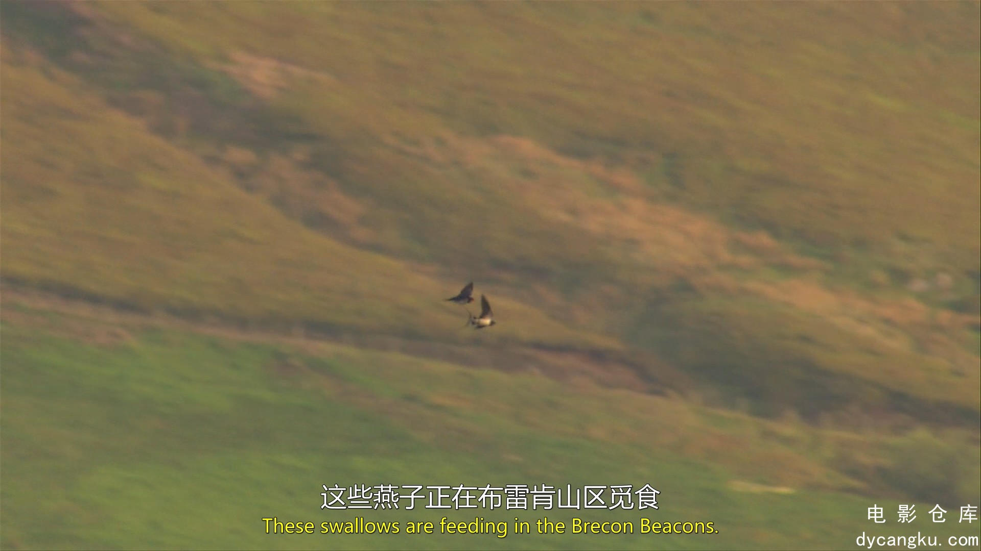[电影仓库dycangku.com]EP03.mkv_snapshot_06.34.063.jpg