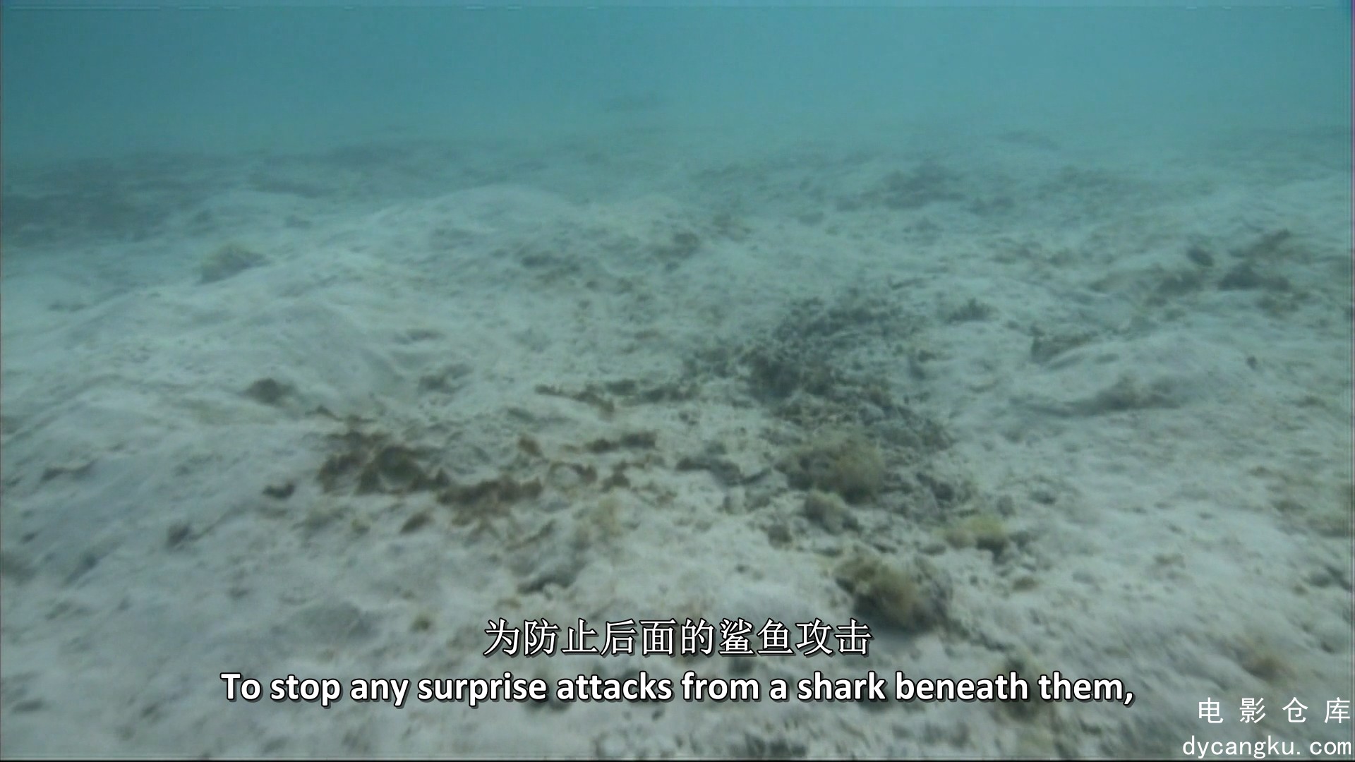 [电影仓库dycangku.com]South.Pacific.2009.EP03.BluRay.1080p.x264.mkv_snapshot_50.34.523.jpg