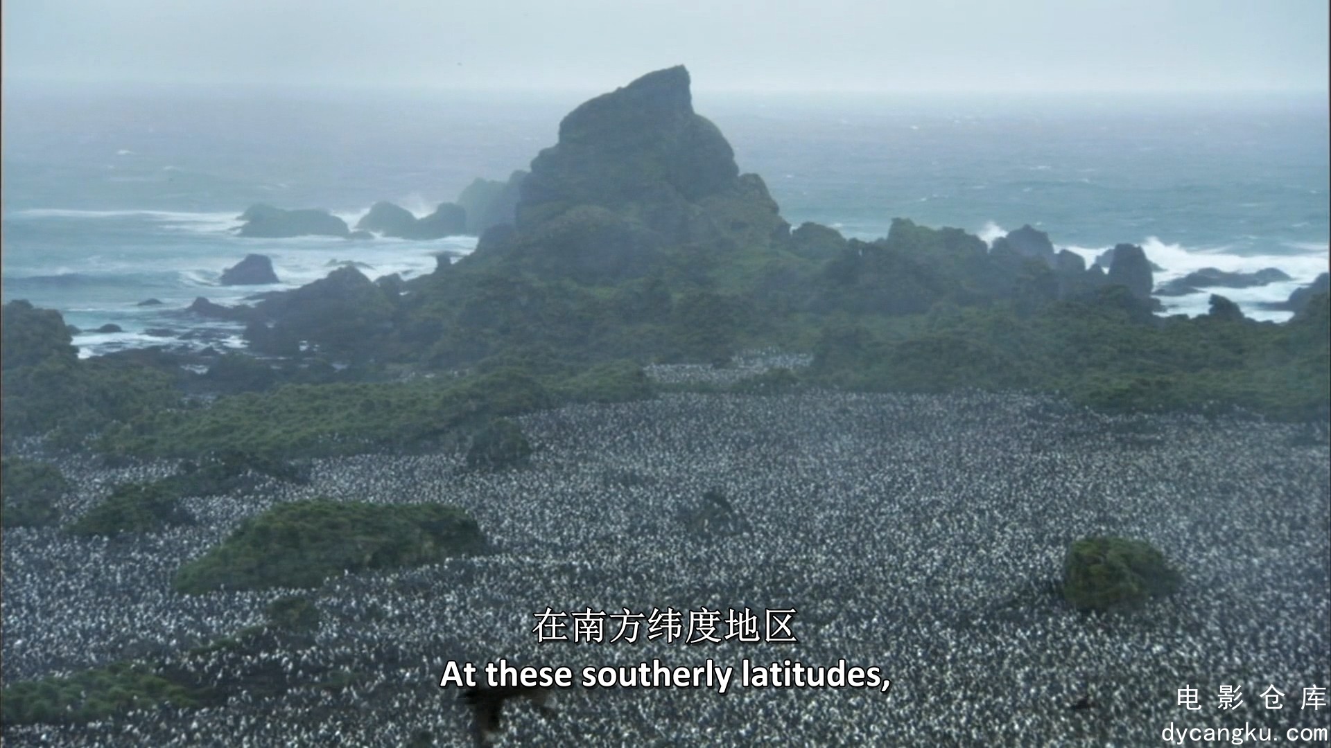 [电影仓库dycangku.com]South.Pacific.2009.EP01.BluRay.1080p.x264.mkv_snapshot_11.45.199.jpg