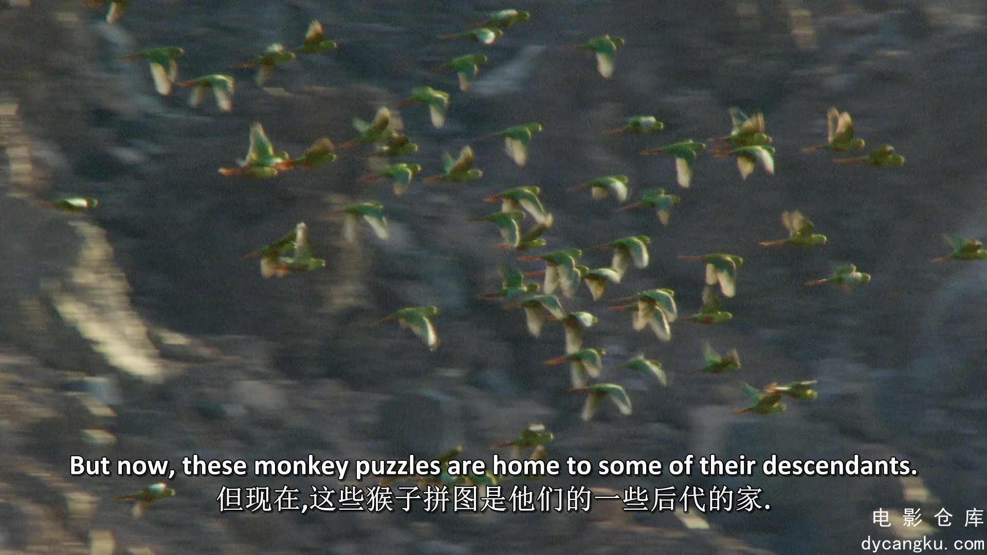 [电影仓库dycangku.com]巴塔哥尼亚.E01.mkv_snapshot_08.56.934.jpg