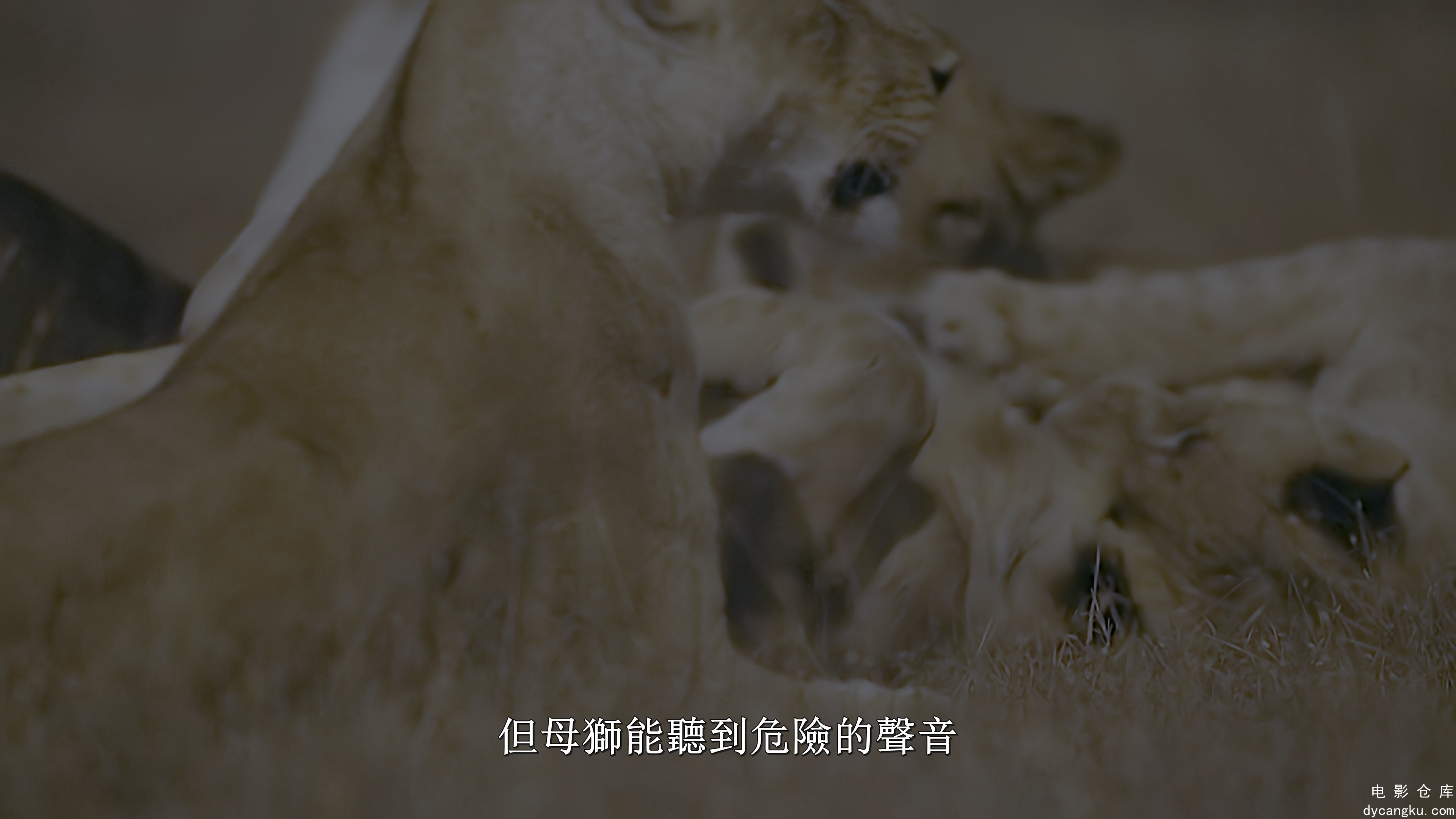 [电影仓库dycangku.com]夜色中的地球.S1.01.mkv_snapshot_15.44.654.jpg