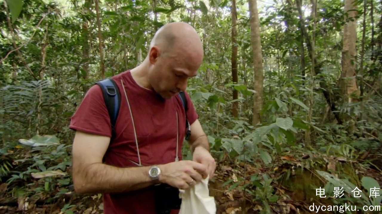 [电影仓库dycangku.com]火山失落之地lost.land.of.the.volcano.S01E02.720p.hdtv.x264.jpg