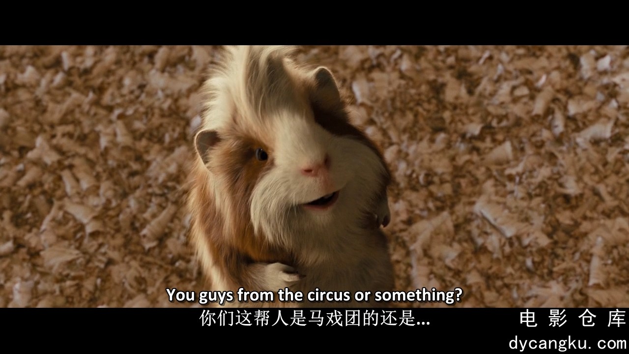 [电影仓库dycangku.com]豚鼠特工队(国英双语).G-Force.2009.BluRay.720p.x264.AC3.mkv.jpg