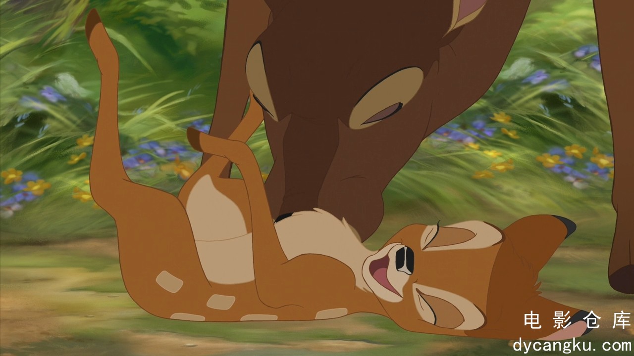 [电影仓库dycangku.com]Bambi.II.2006.720p.BluRay.x264.DTS.mkv_snapshot_00.48.59.509.jpg