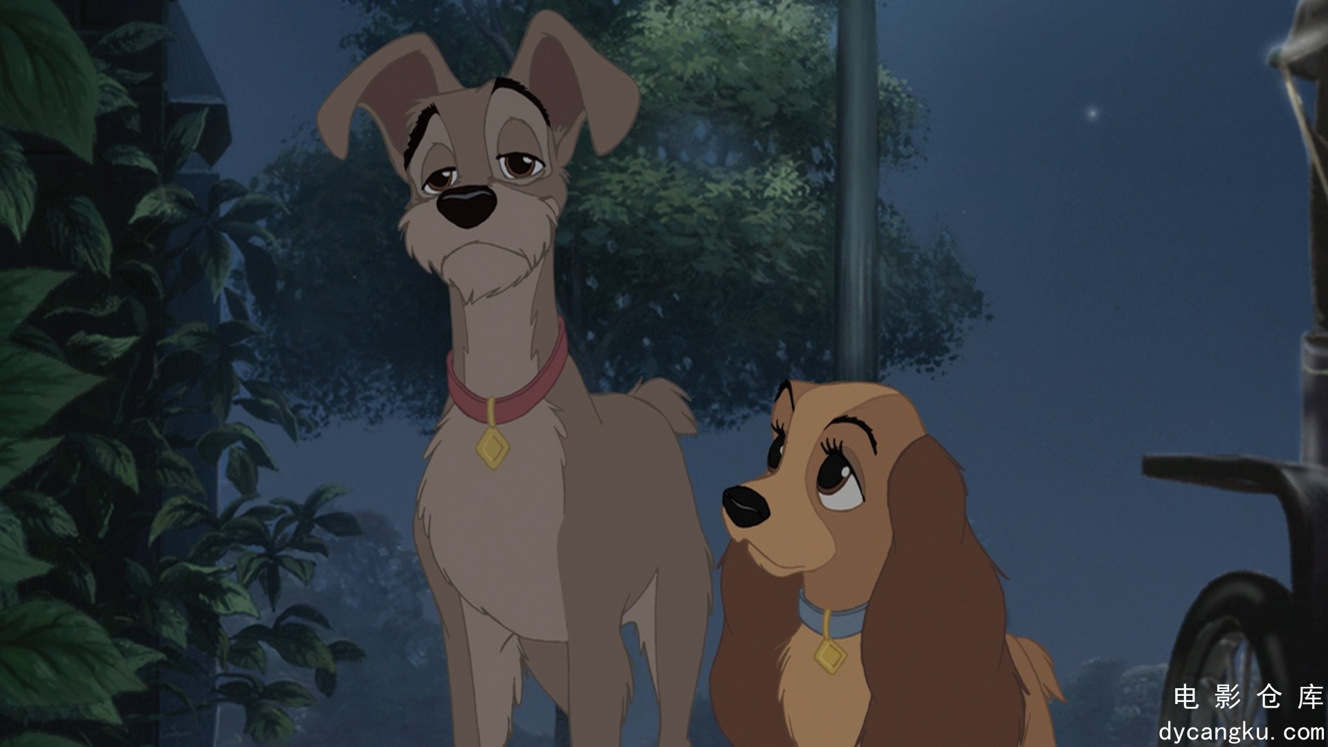 [电影仓库dycangku.com]Lady.And.The.Tramp.II.Scamp's.Adventure.2001.1080p.Bl.jpg