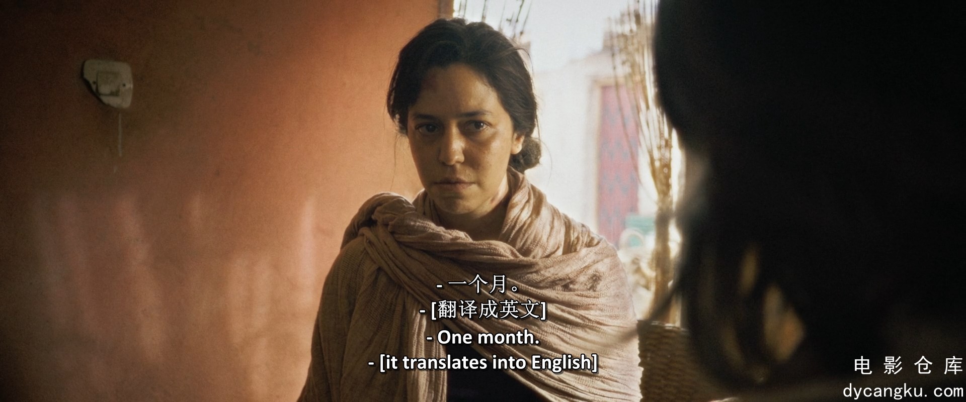 [电影仓库dycangku.com]3.mkv_snapshot_25.44.505.jpg
