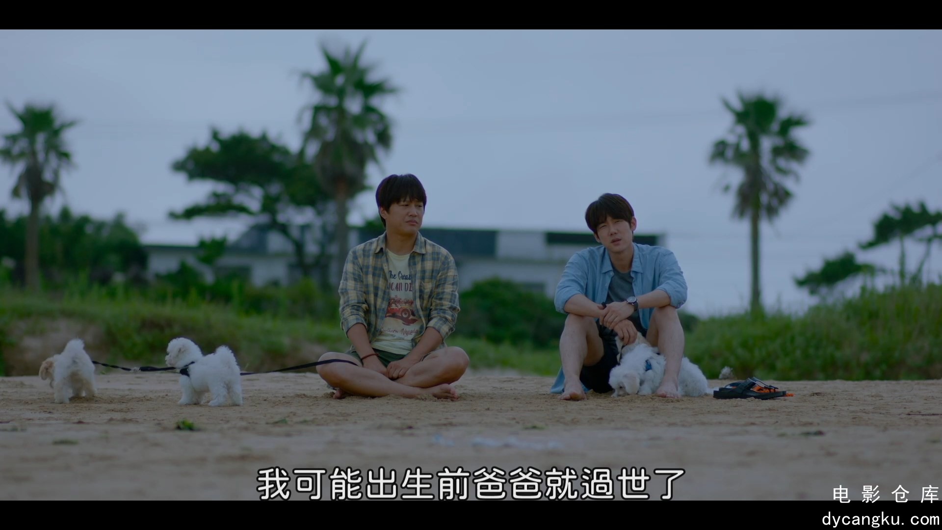 [电影仓库dycangku.com]My.Heart.Puppy.2023.1080p.MyVideo.WEB-DL.DDP.5.1.H.264.mkv.jpg