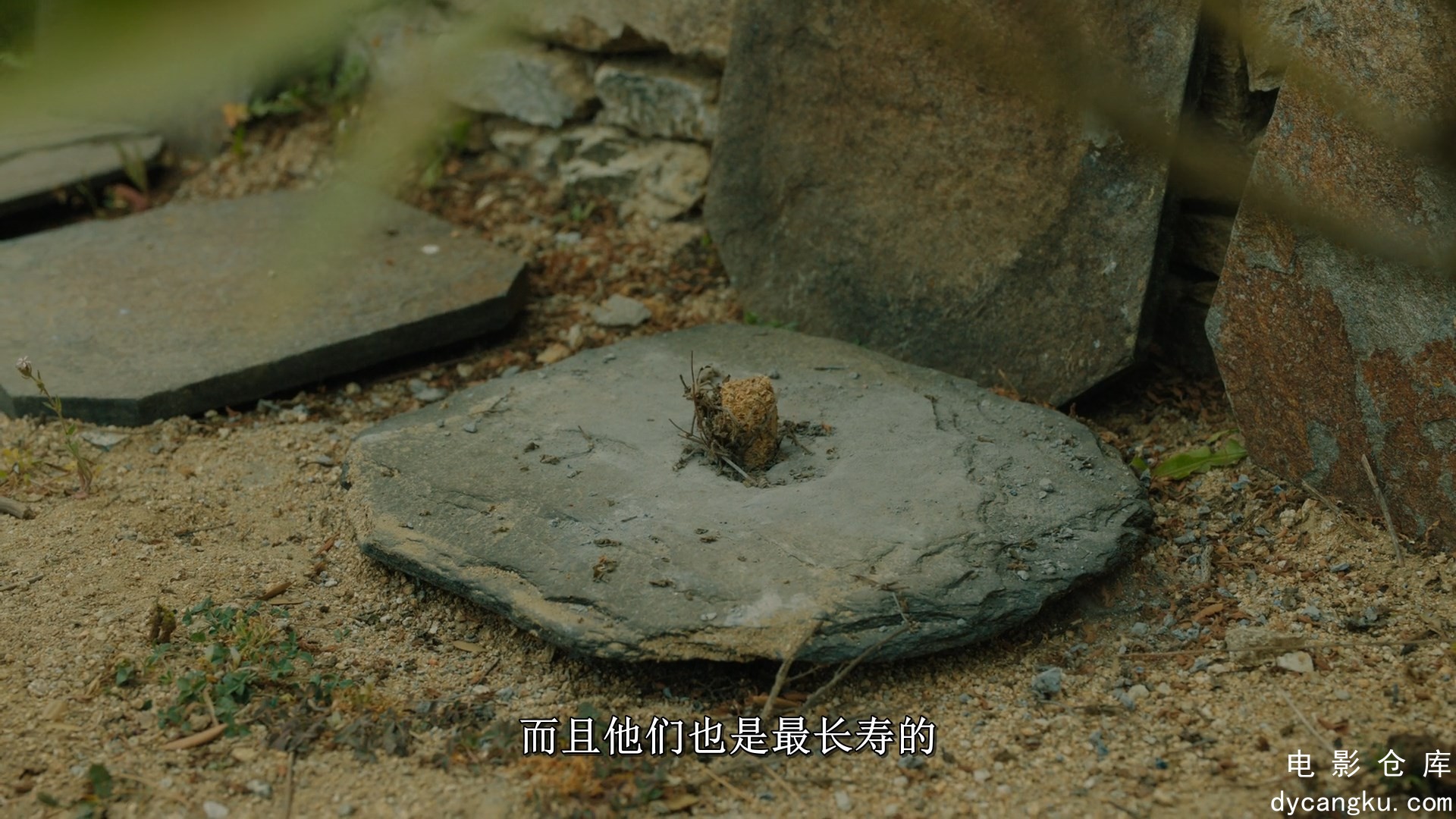 [电影仓库dycangku.com]Live.to.100.Secrets.of.the.Blue.Zones.S01E03.1080p.WEB.h26.jpg