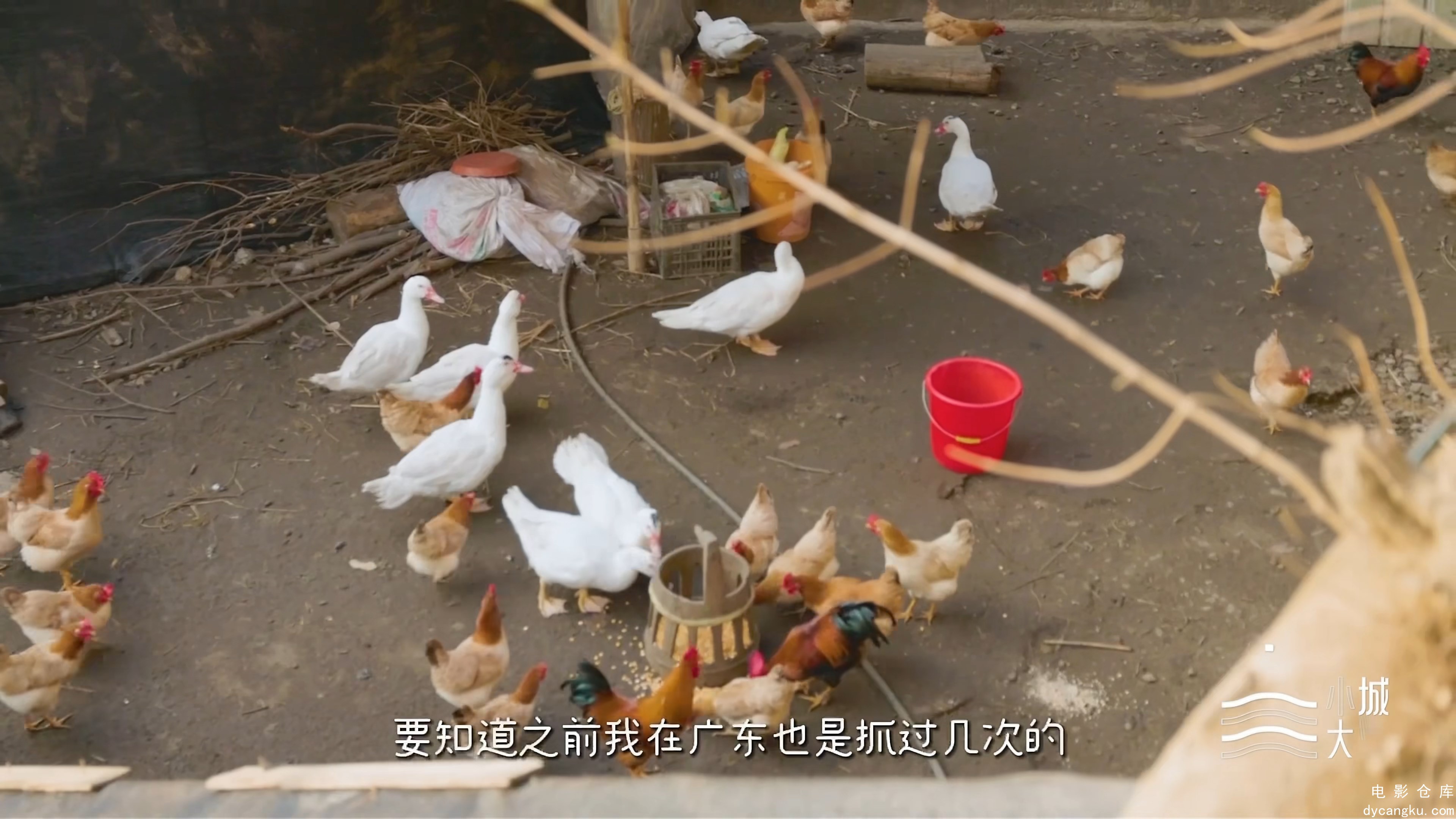 [电影仓库dycangku.com]Delicious.S01E04.2024.2160p.WEB-DL.H265.AAC.mkv_snapshot_0.jpg