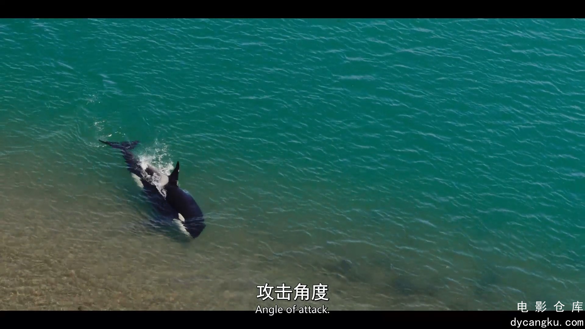 [电影仓库dycangku.com]03.mp4_snapshot_00.18.30.758.jpg