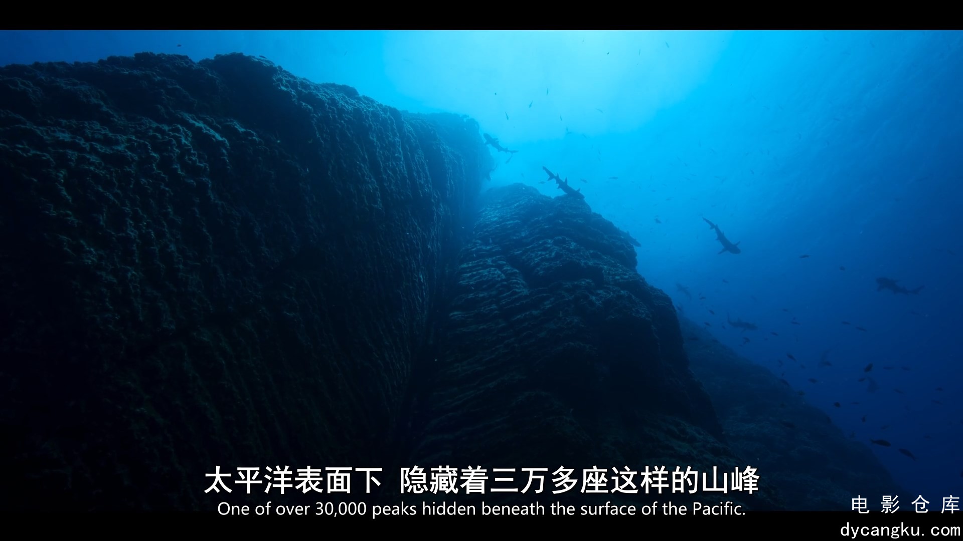 [电影仓库dycangku.com]01.mp4_snapshot_00.41.00.669.jpg