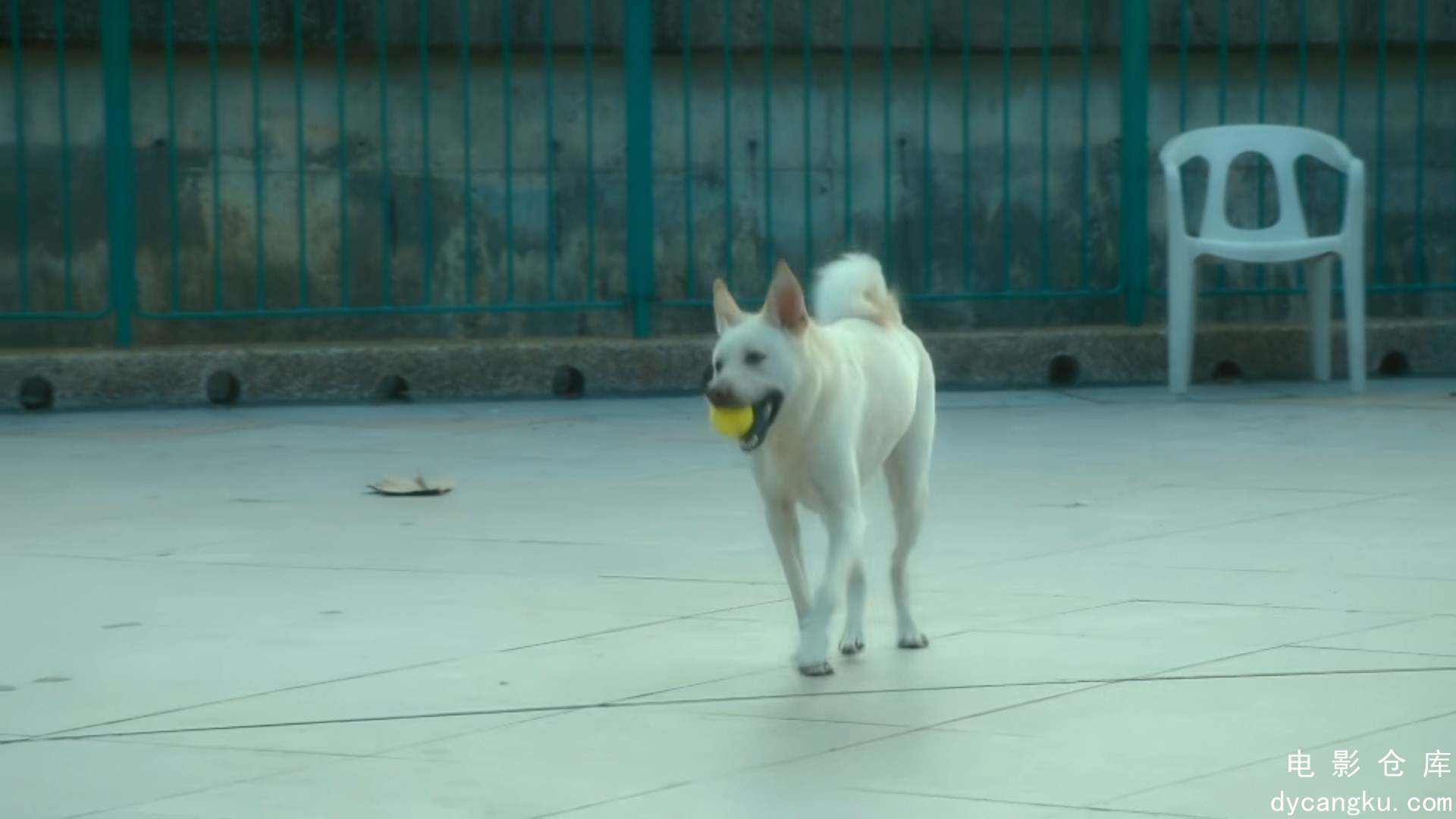 [电影仓库dycangku.com]Used.Good.S01E12.2022.1080p.TX.WEB-DL.H265.AAC.mp4_snapsho.jpg
