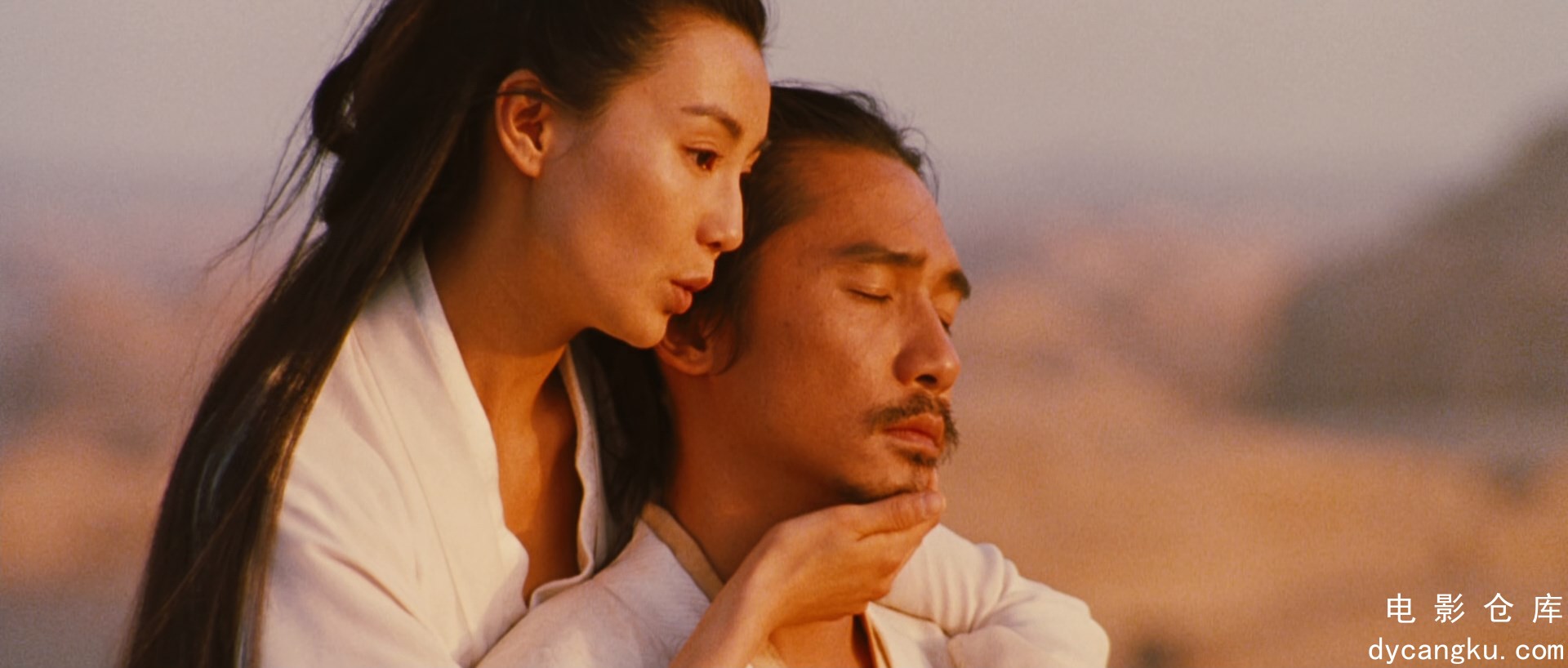 [电影仓库dycangku.com]英雄.Hero.2002.BluRay.1080p.x265.10bit.2Audio.mkv_snapshot.jpg