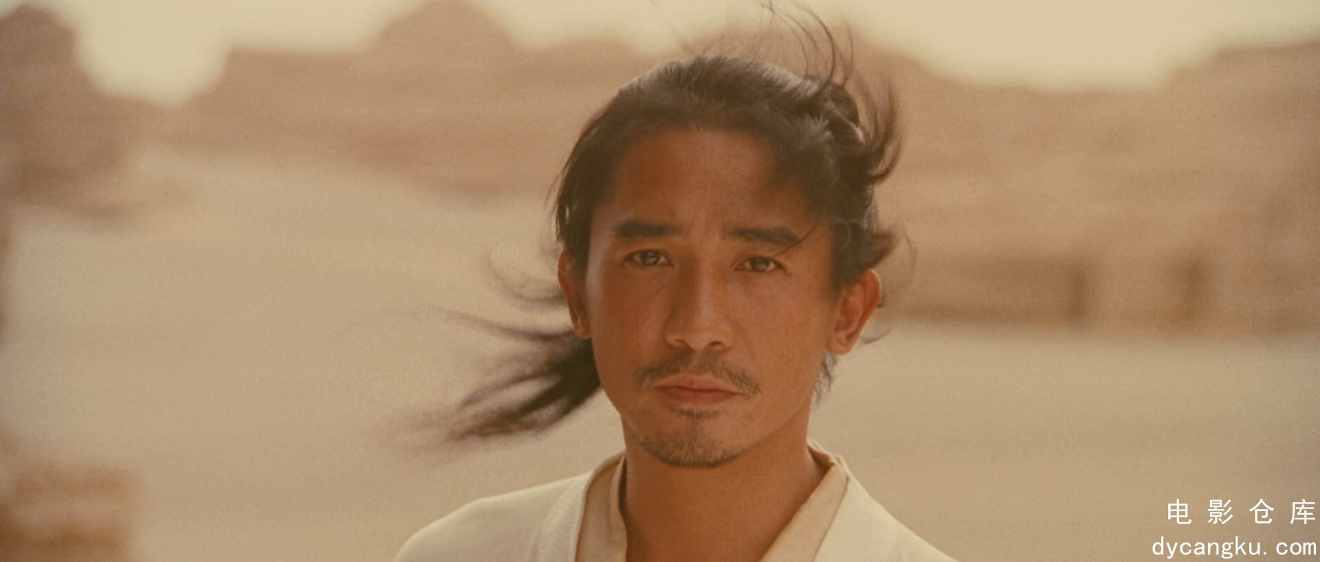 [电影仓库dycangku.com]英雄.Hero.2002.BluRay.1080p.x265.10bit.2Audio.mkv_snapshot.jpg