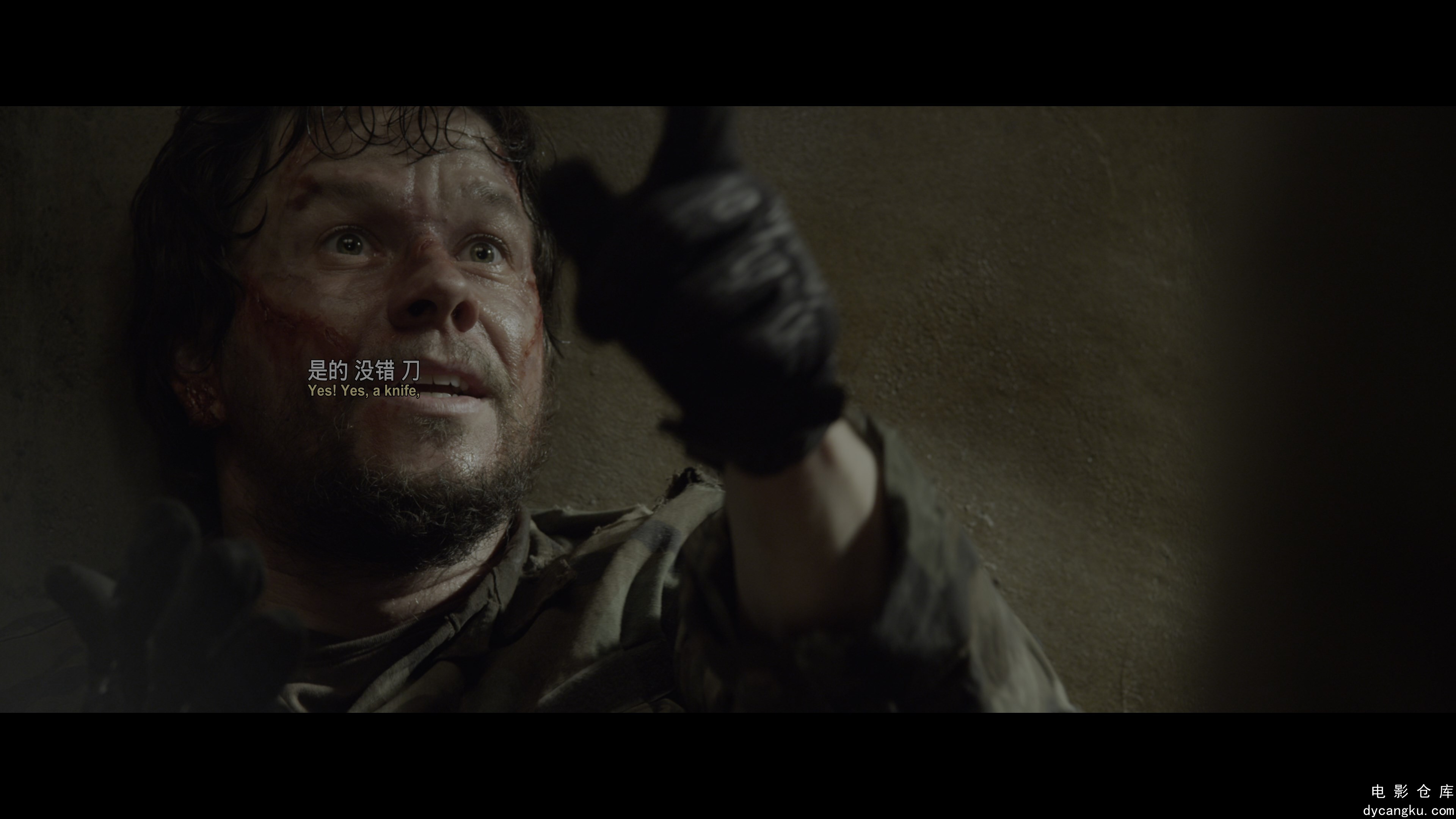 [电影仓库dycangku.com]Lone.Survivor.2013.PROPER.2160p.BluRay.REMUX.HEVC.DTS-X.7..jpg