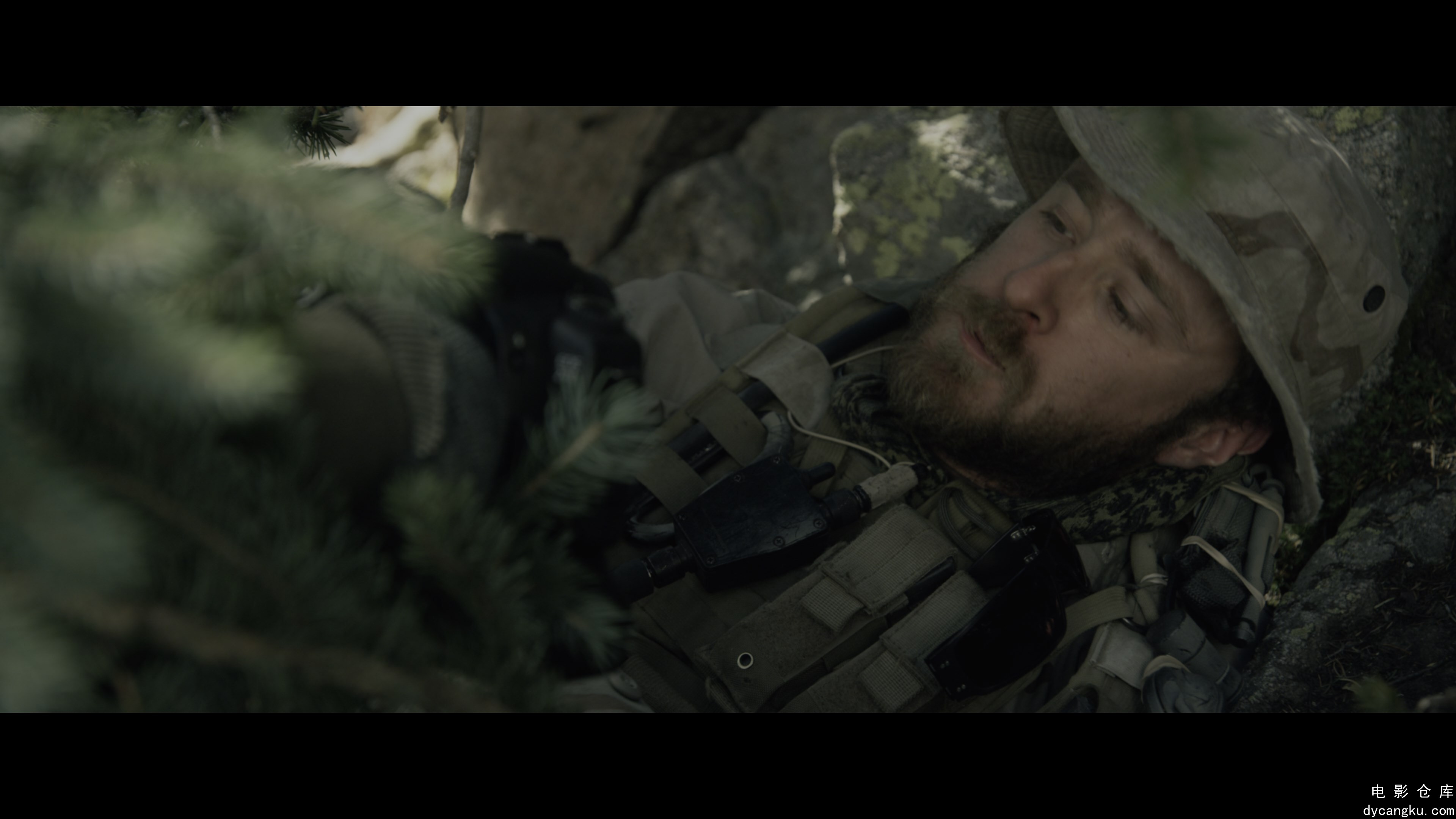 [电影仓库dycangku.com]Lone.Survivor.2013.PROPER.2160p.BluRay.REMUX.HEVC.DTS-X.7..jpg