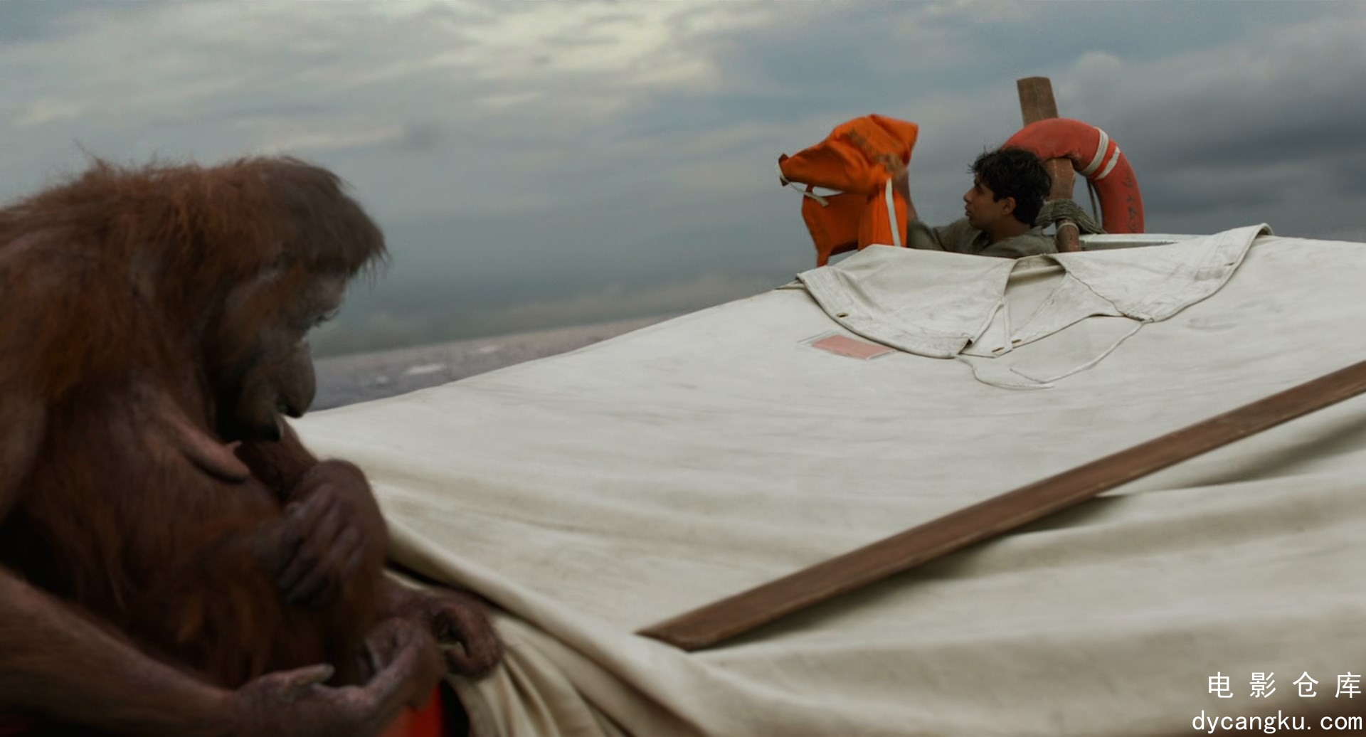 [电影仓库dycangku.com]Life.of.Pi.2012.BluRay.1080p.x265.10bit.2Audio.mkv_snapsho.jpg