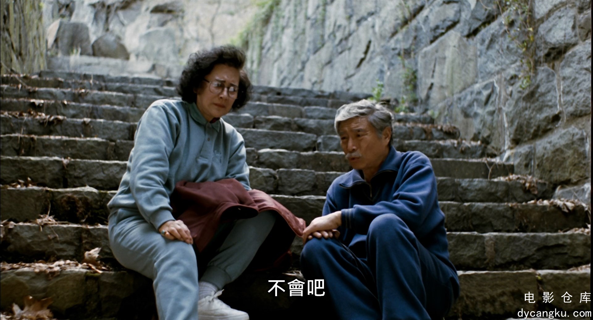 [电影仓库dycangku.com]Pushing.Hands.1992.BluRay.1080p.x265.10bit.mkv_snapshot_01.jpg