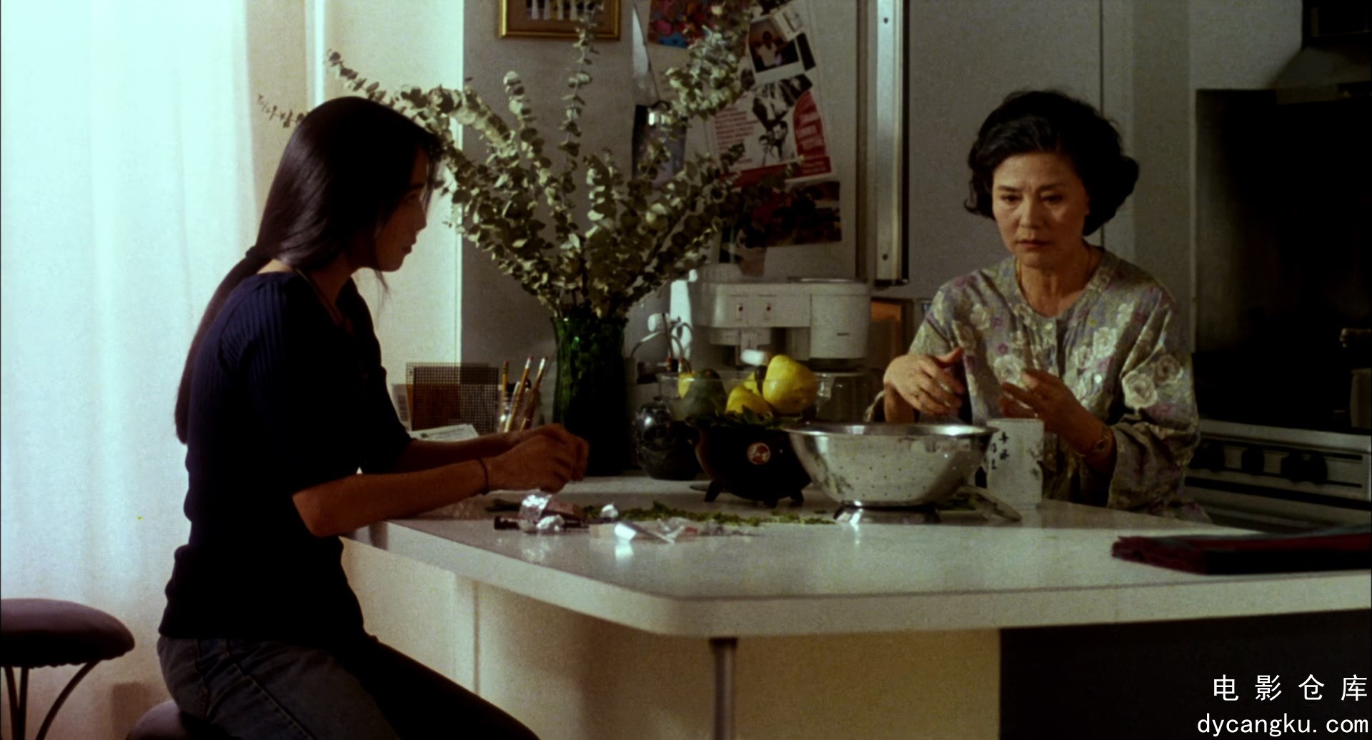 [电影仓库dycangku.com]The.Wedding.Banquet.1993.BluRay.1080p.x265.10bit.mkv_snaps.jpg