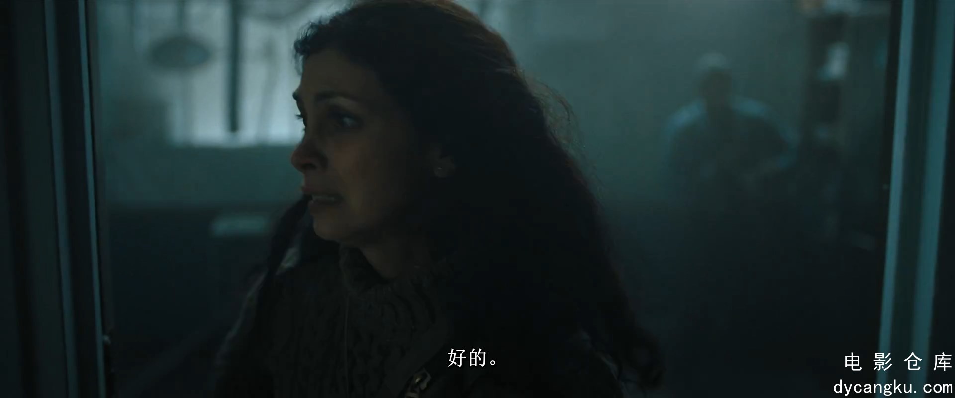 [电影仓库dycangku.com]Elevation.2024.1080p.AMZN.WEBRip.1400MB.DD5.1.x264[内封简.jpg