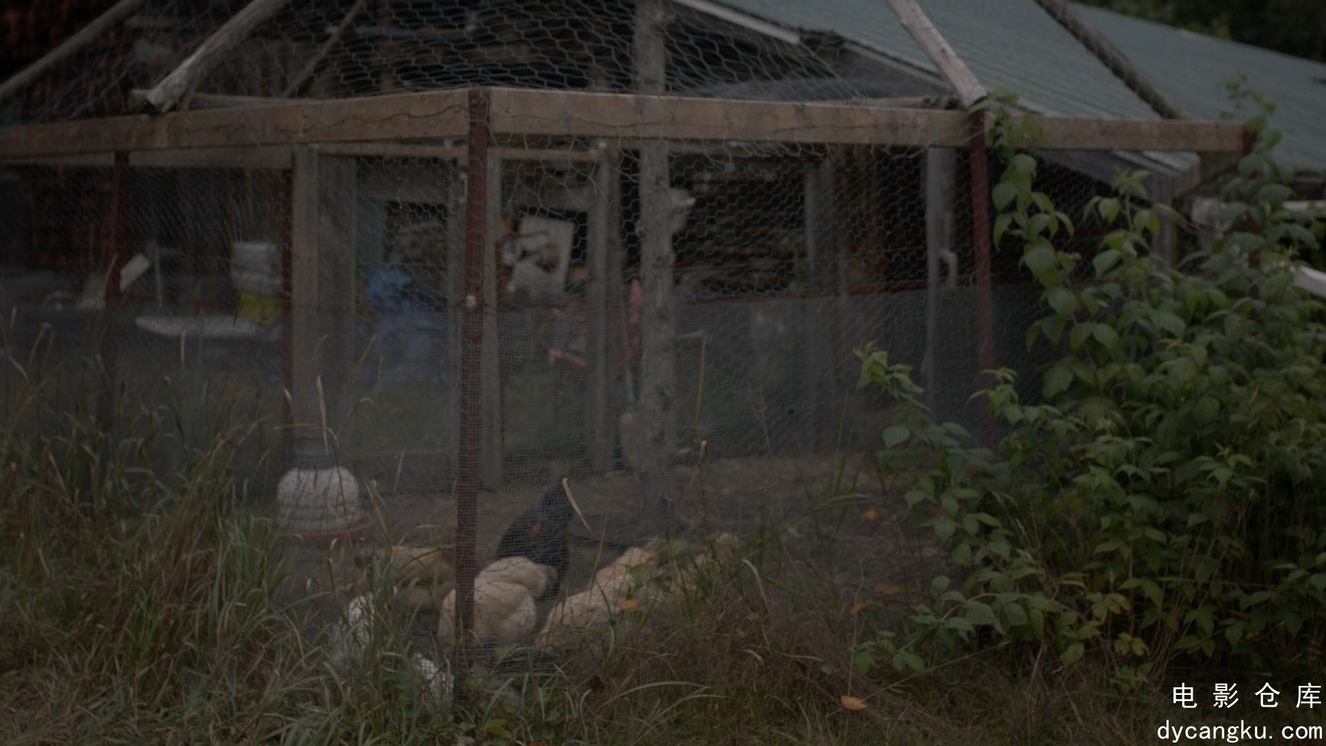 [电影仓库dycangku.com]All.The.Lost.Ones.2024.1080p.WEBRip.x264.AAC5.1.mp4_snapsh.jpg