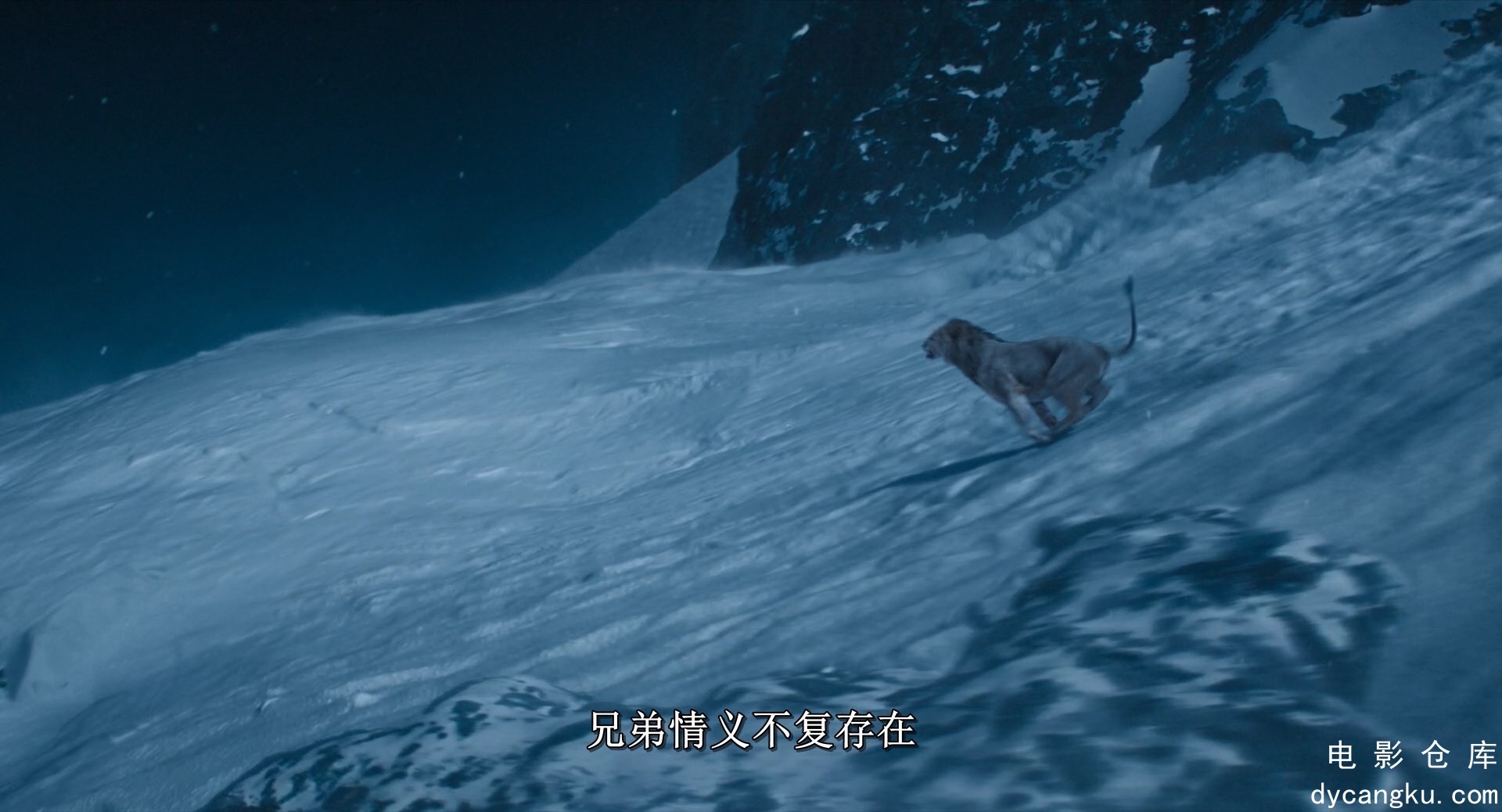 [电影仓库dycangku.com]Mufasa.The.Lion.King.2024.REPACK.1080p.iTunes.WEB-DL.DDP.5.jpg