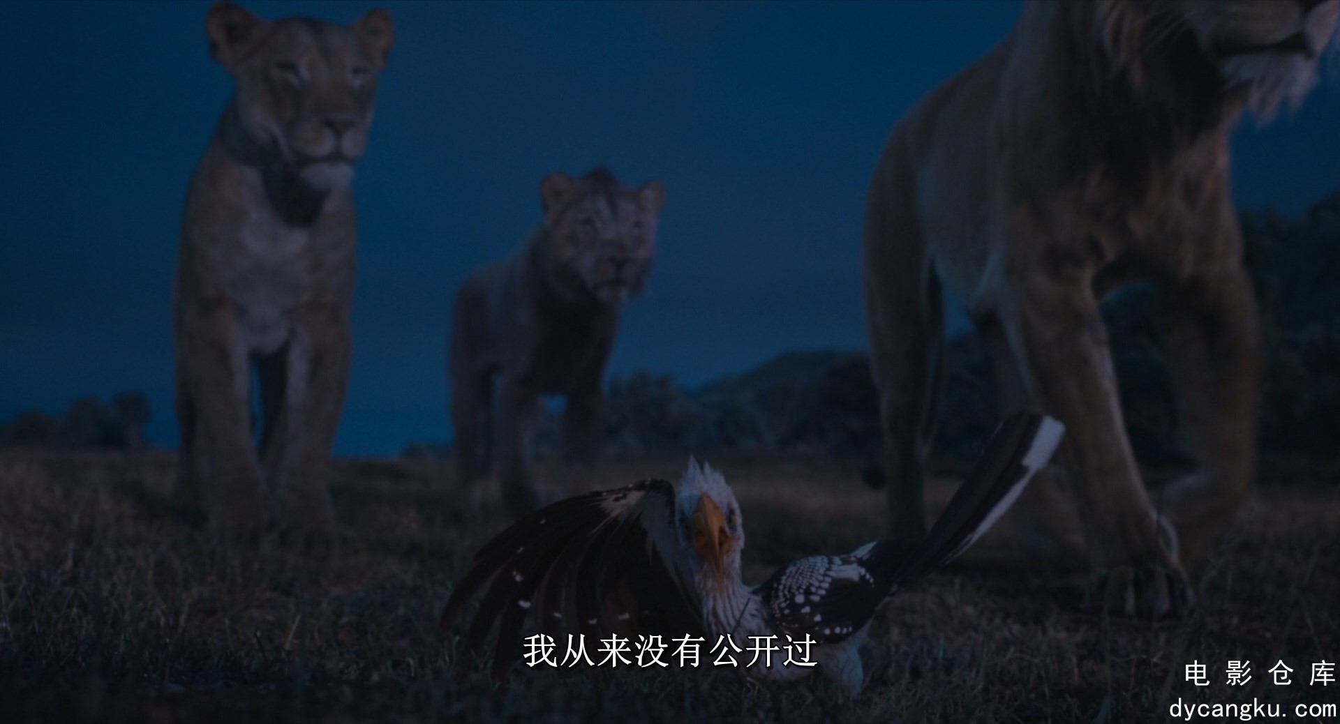 [电影仓库dycangku.com]Mufasa.The.Lion.King.2024.REPACK.1080p.iTunes.WEB-DL.DDP.5.jpg