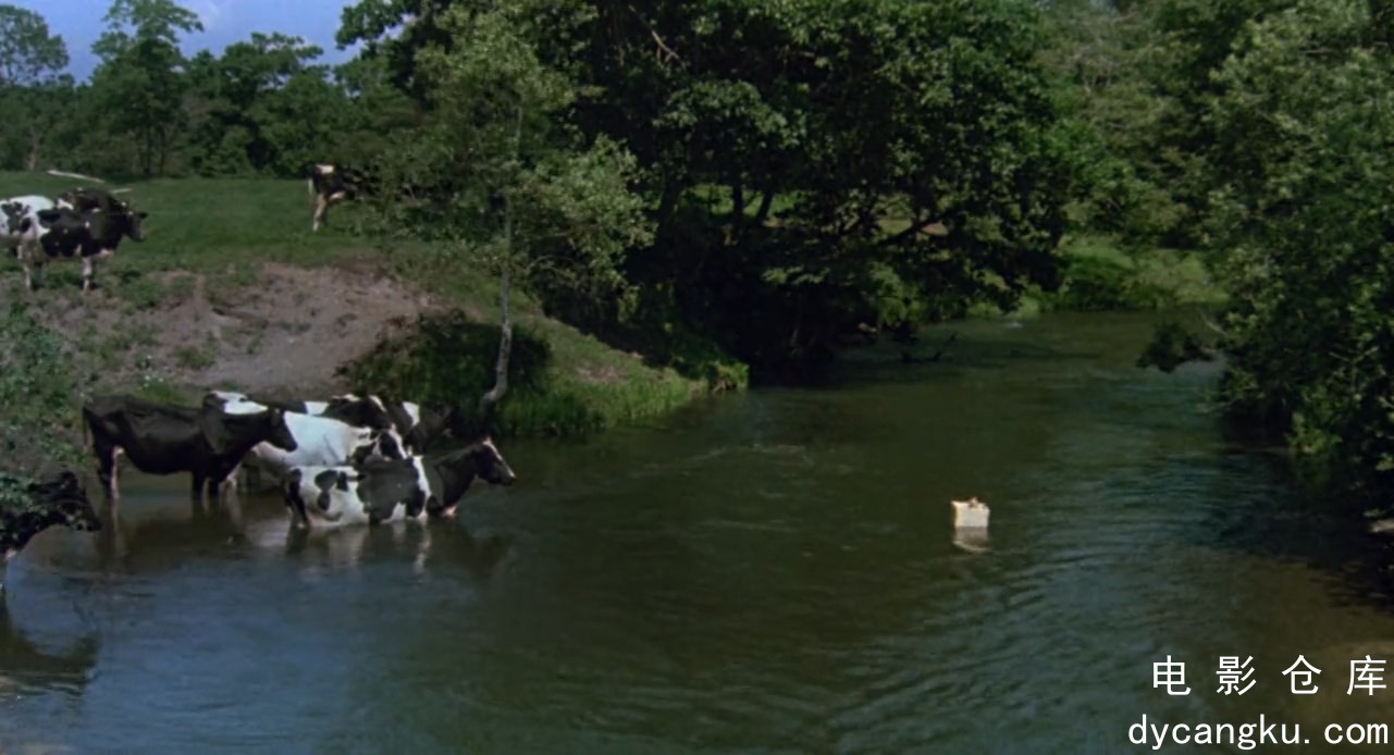 [电影仓库dycangku.com]The.Adventures.Of.Milo.And.Otis.1986.720p.BluRay.x264.AAC..jpg
